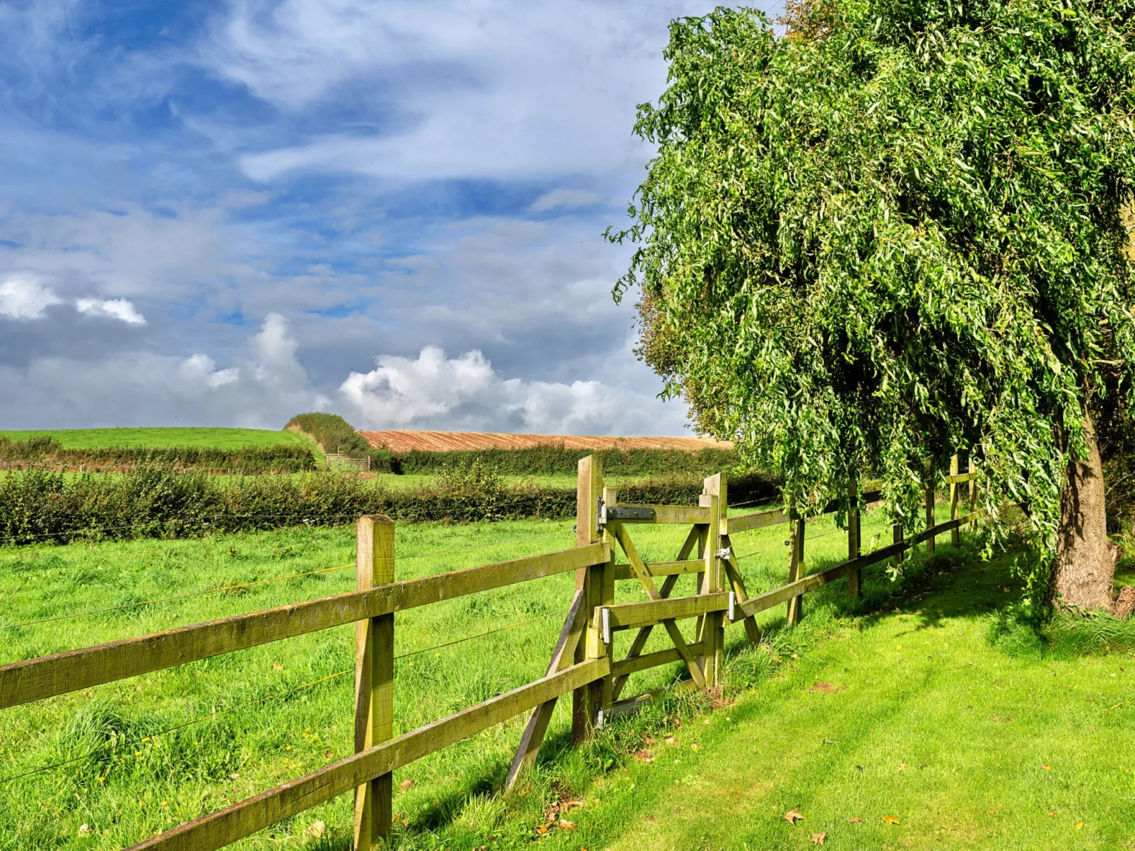 The Barn at Prowses Farm-Buiten