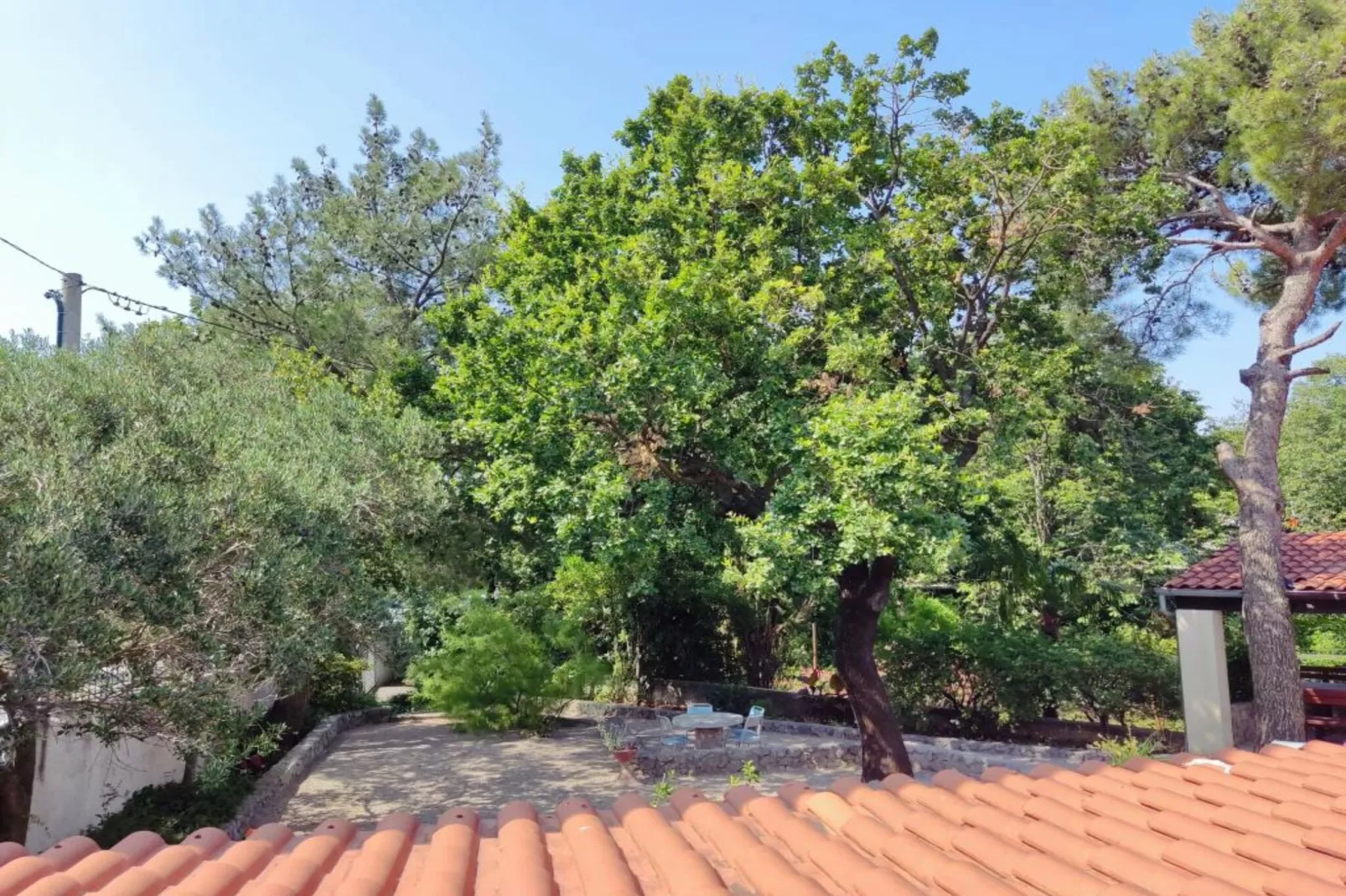 Apartment & Rooms Villa Oliva - Room 1