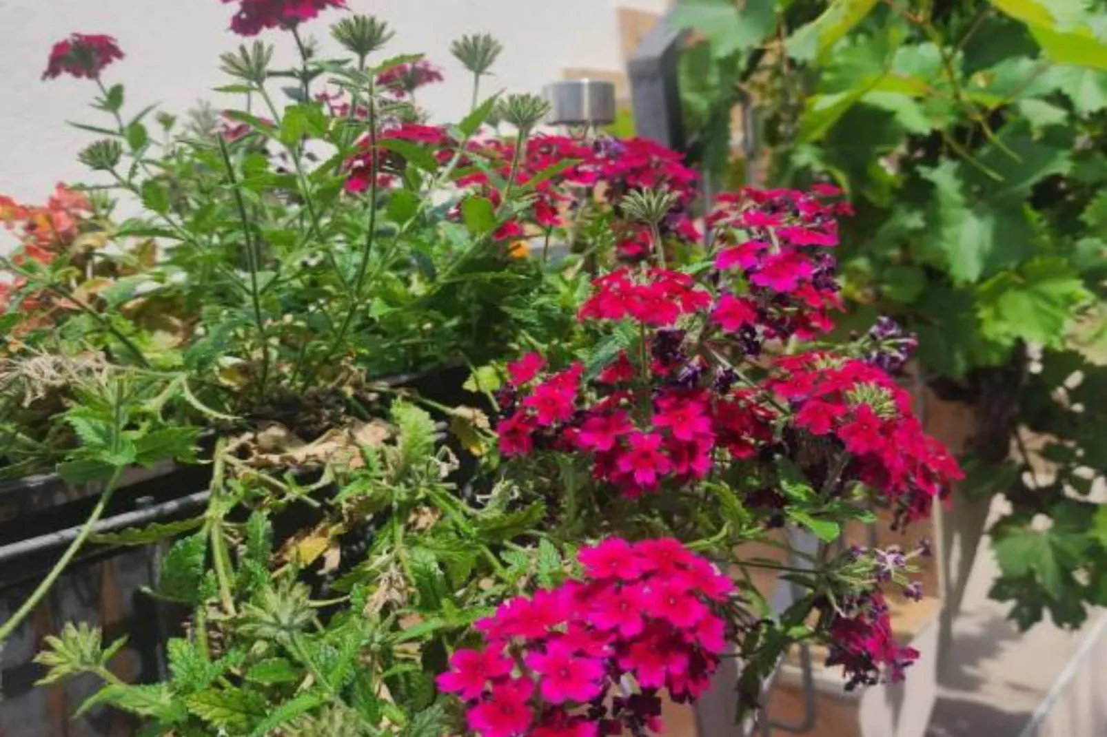 Deluxe City Escape with Modern Comforts & Garage - Double Room-Buitenlucht