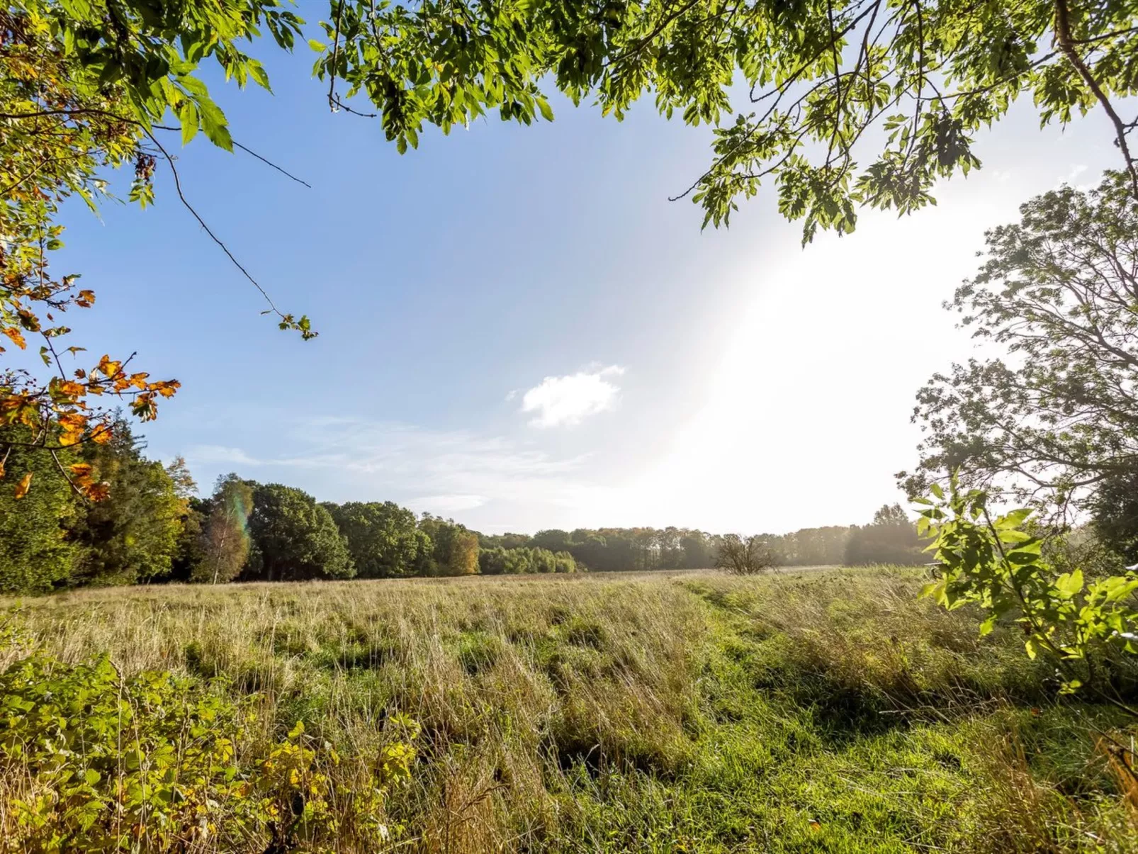 "Cornel" - 300m from the sea-Buiten