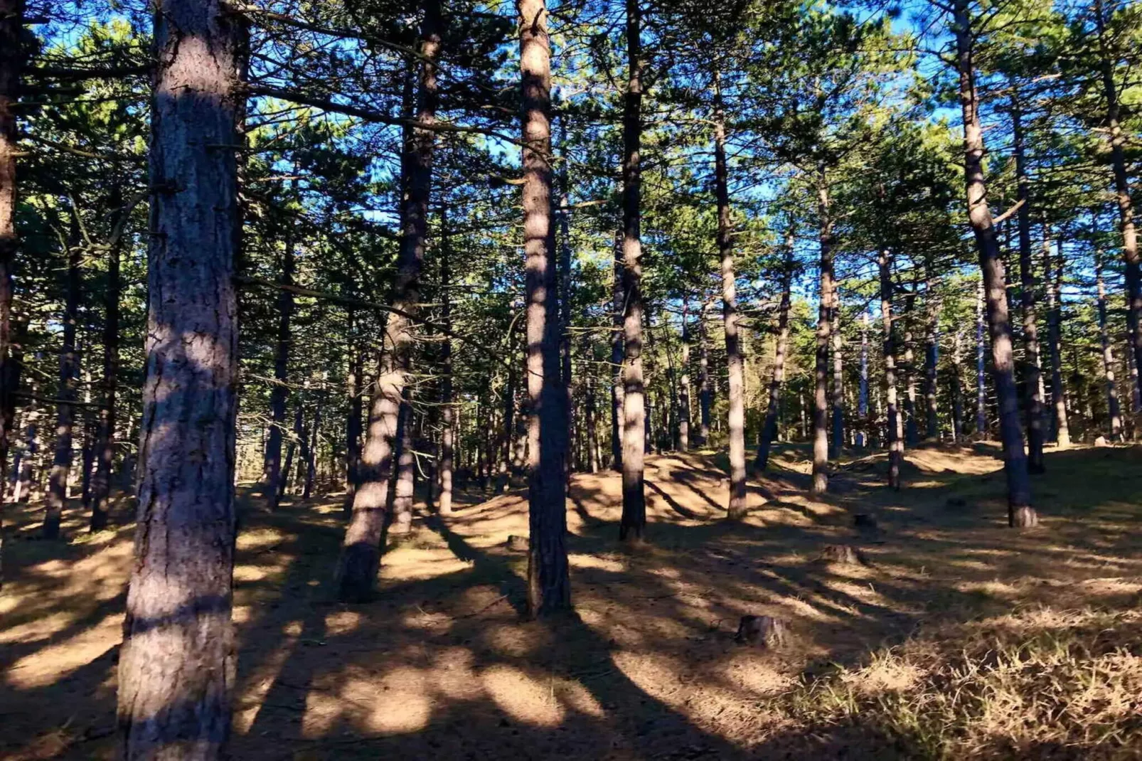 5 sterren vakantie huis in Nykøbing Sj-Buitenlucht