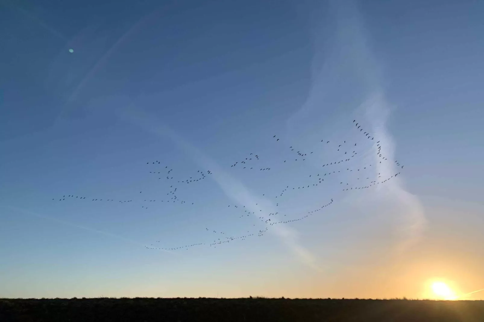 5 sterren vakantie huis in Dannemare-Buitenlucht
