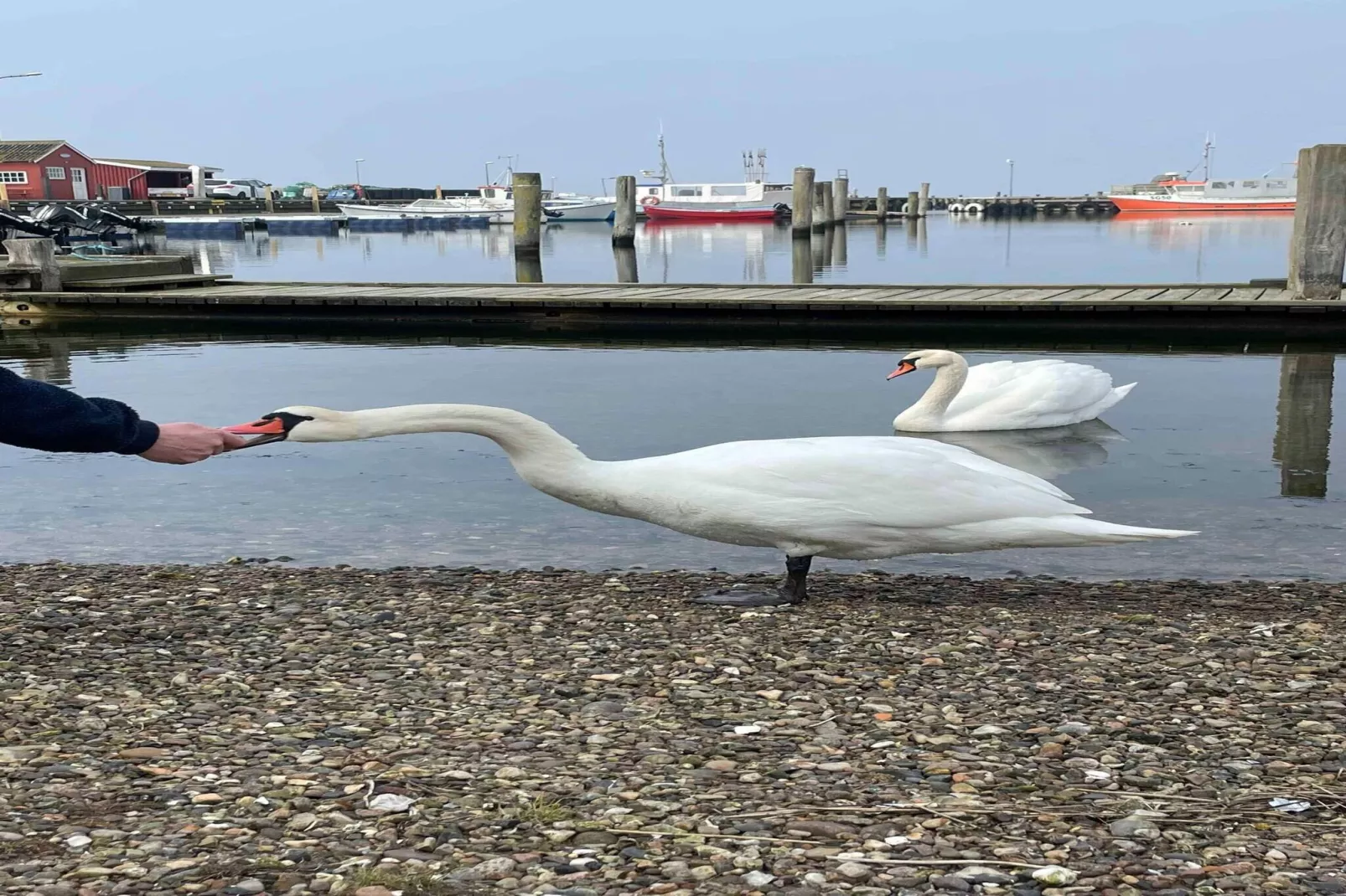 5 sterren vakantie huis in Bagenkop-Buitenlucht