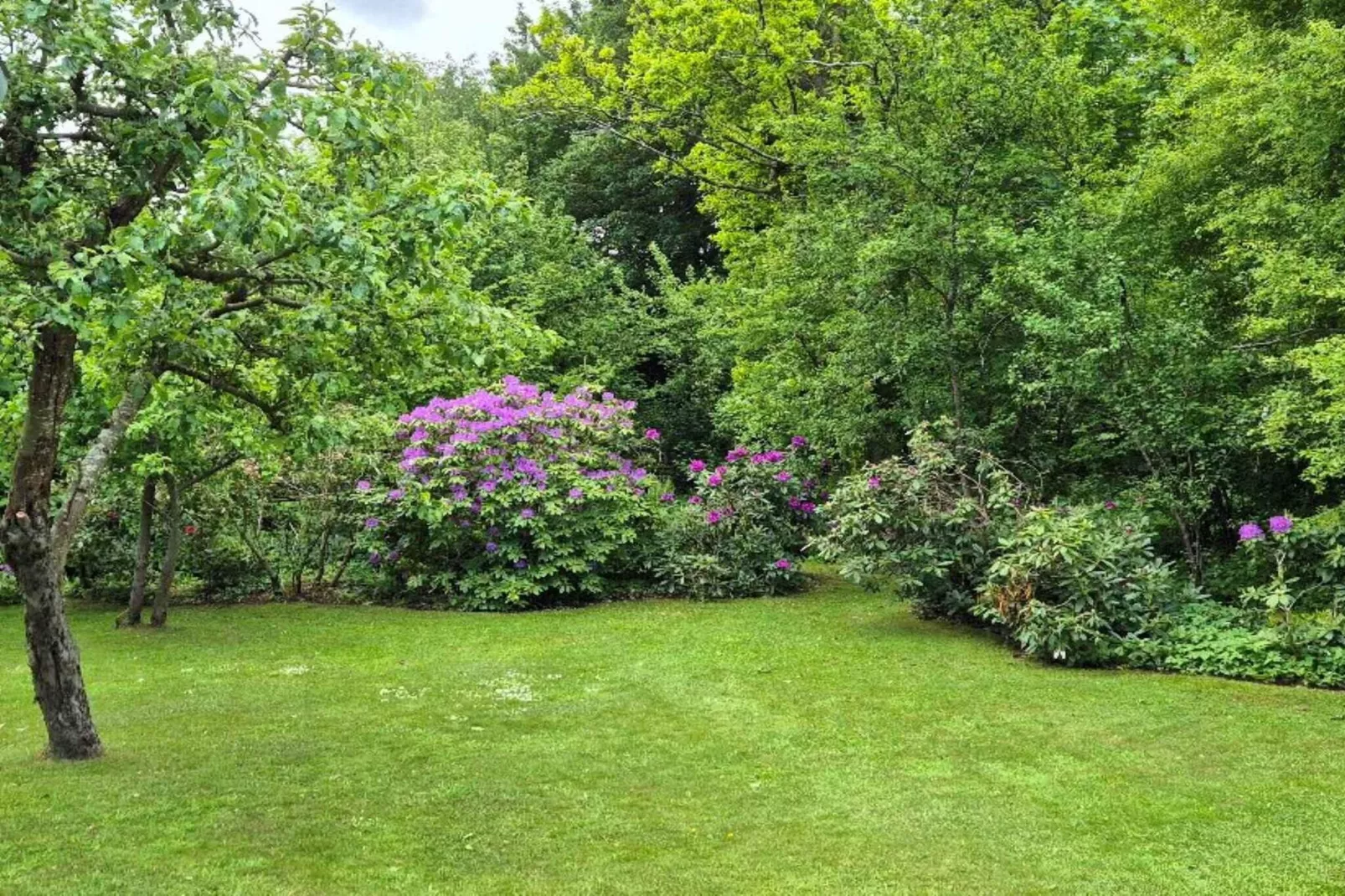 4 sterren vakantie huis in Asnæs-Buitenlucht