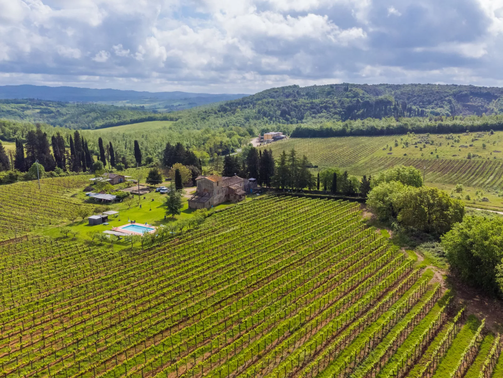 Fattoria Petraglia - Terrazza-Buiten