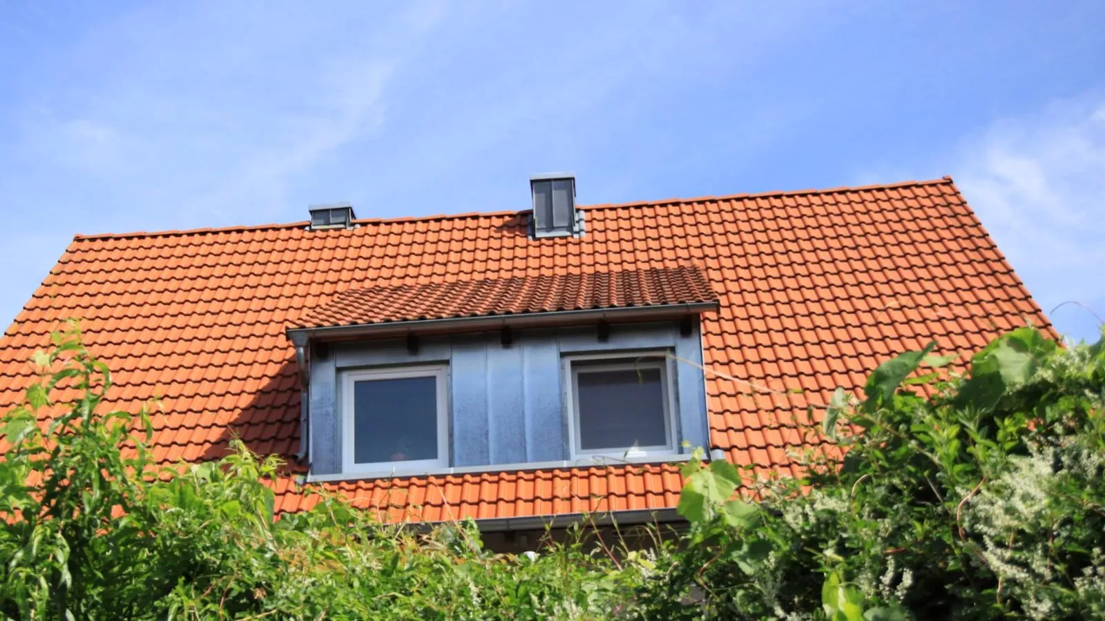 Bianca-Buitenkant zomer