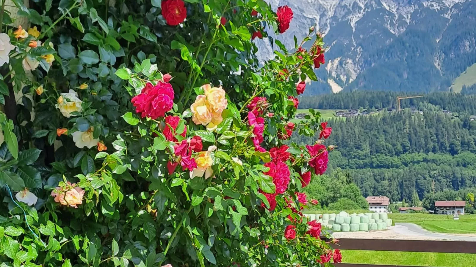 Madreit-Uitzicht zomer