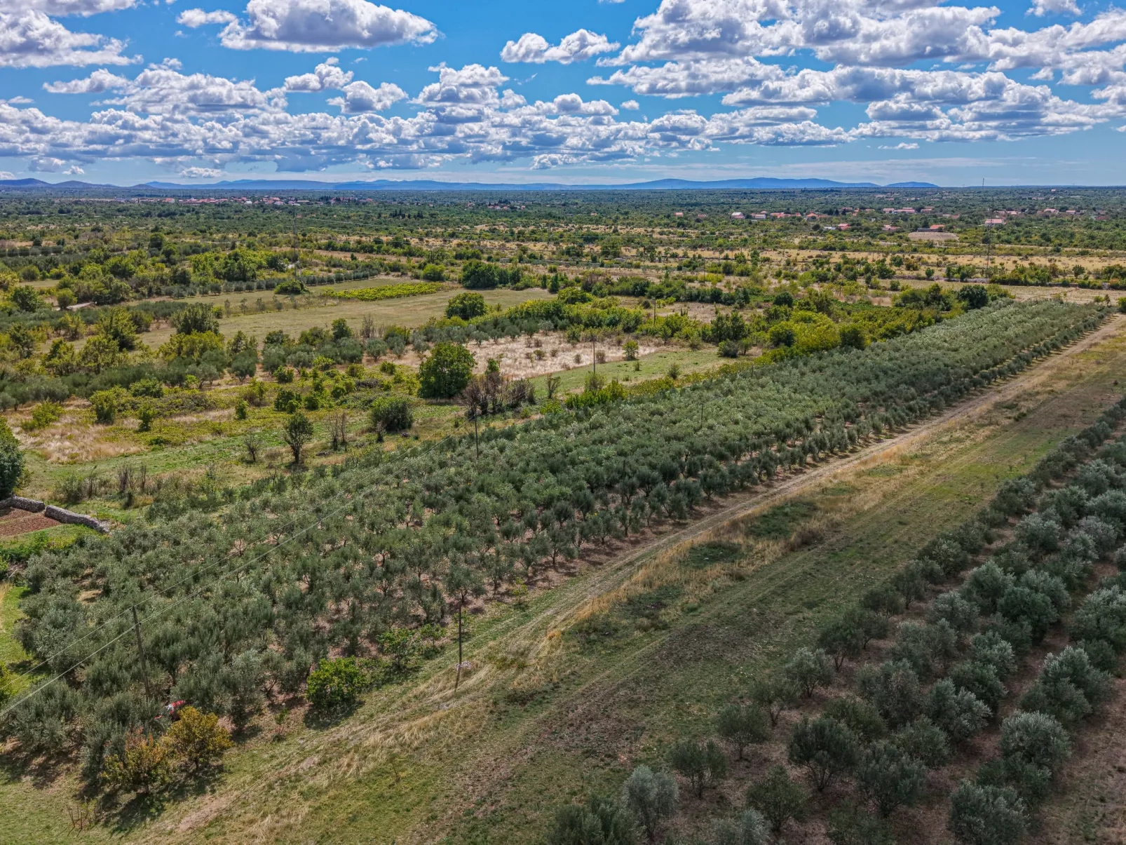 Rural Villa Olive Krka-Buiten