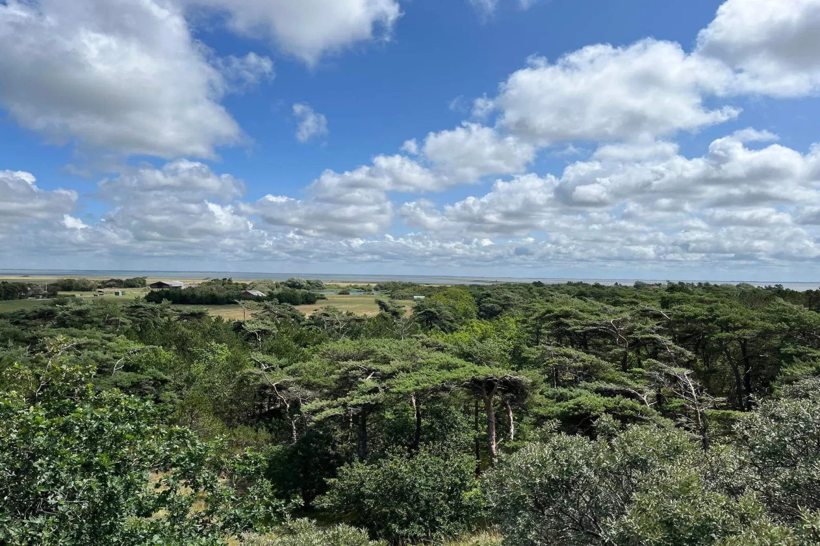 Rustiek rietgedekt huis op Romo-By Traum-Niet-getagd