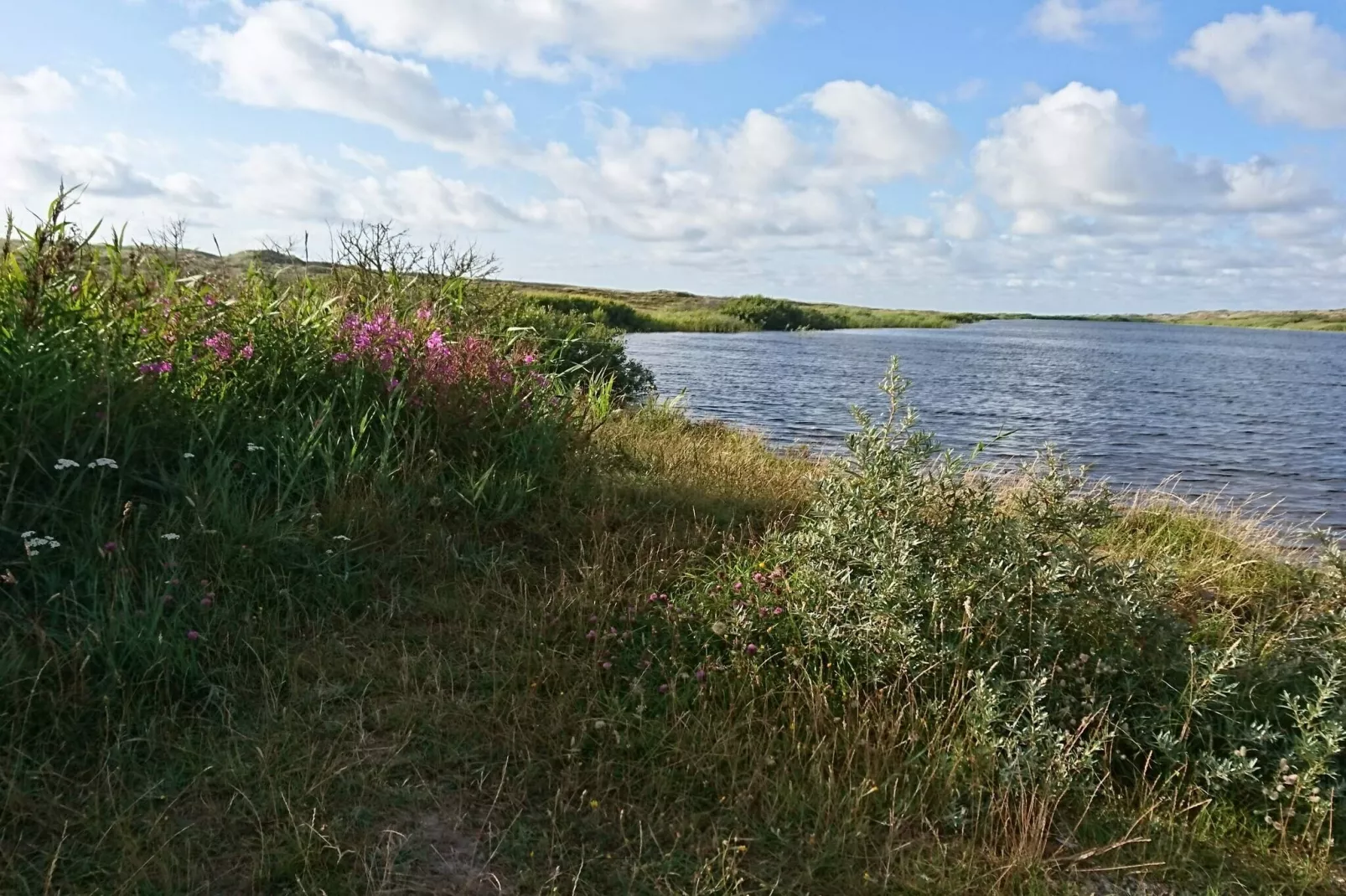 4 persoons vakantie huis in Nørre Nebel-Waterzicht