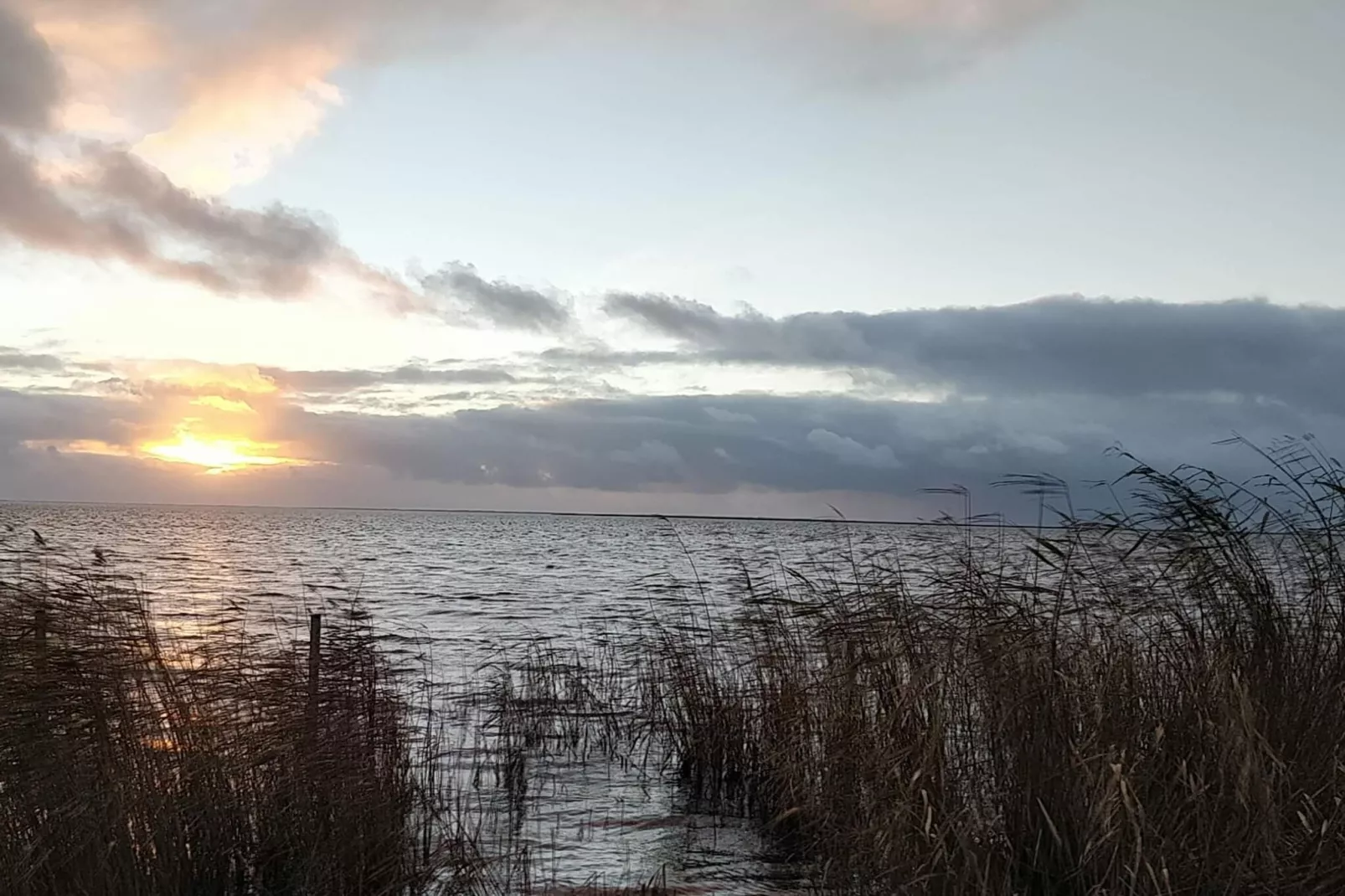 4 persoons vakantie huis in Skjern-Waterzicht