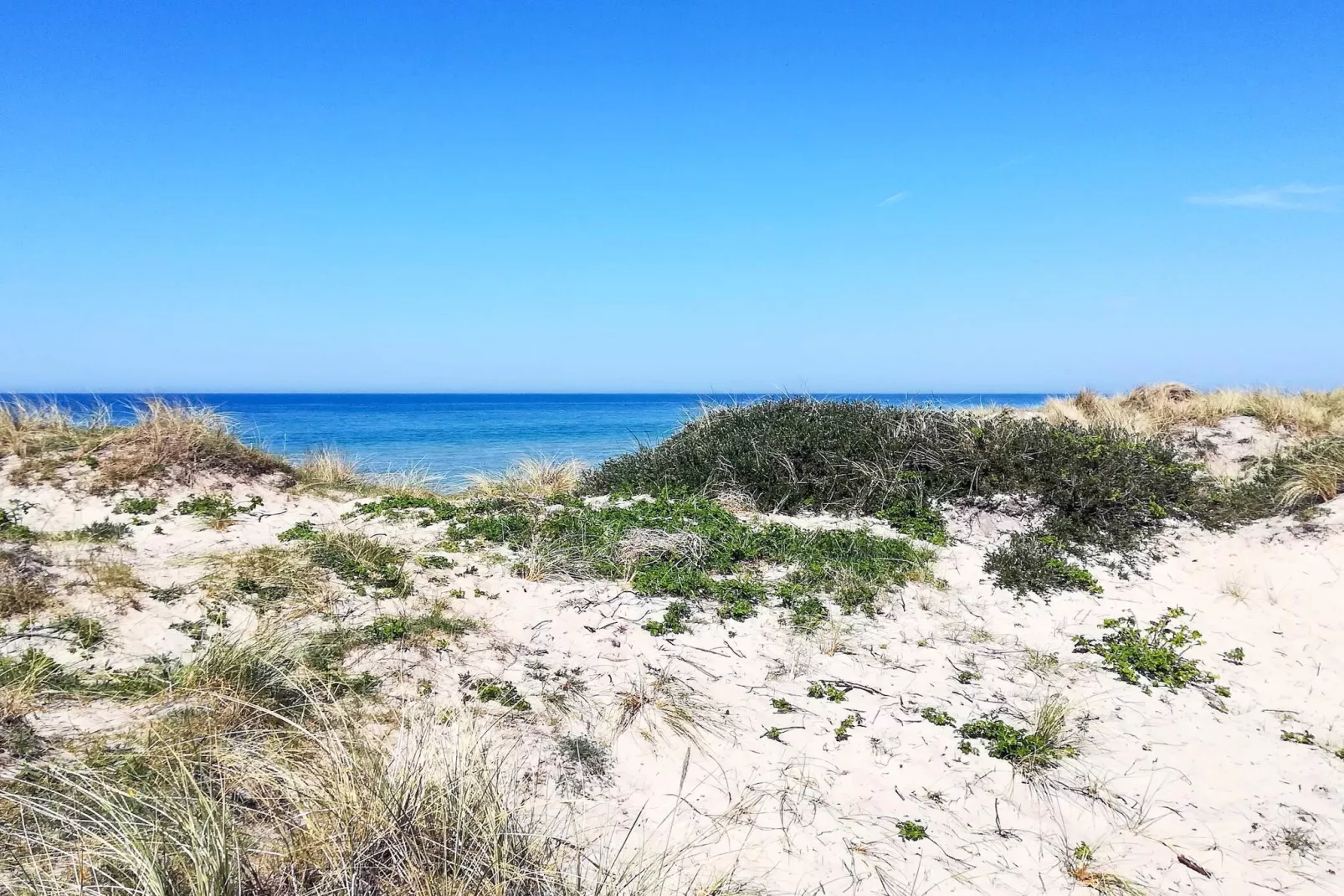 6 persoons vakantie huis in Tisvildeleje-Waterzicht