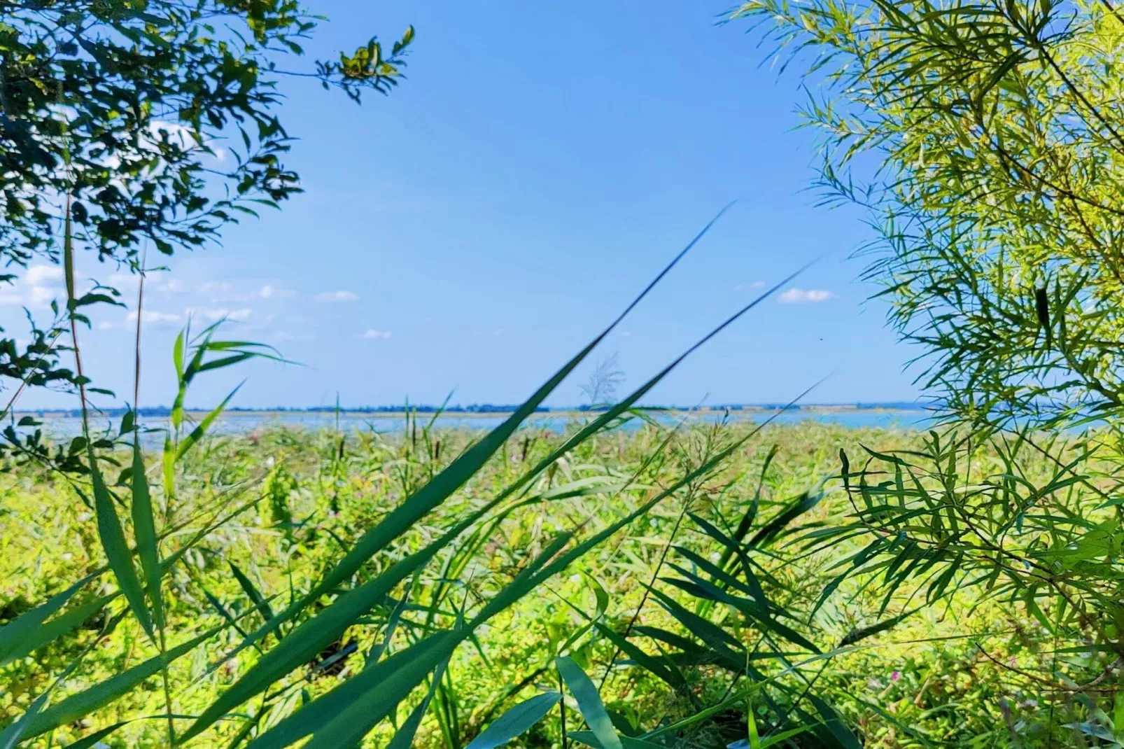 Kustsereniteit in Jaegerspris-By Traum-Waterzicht