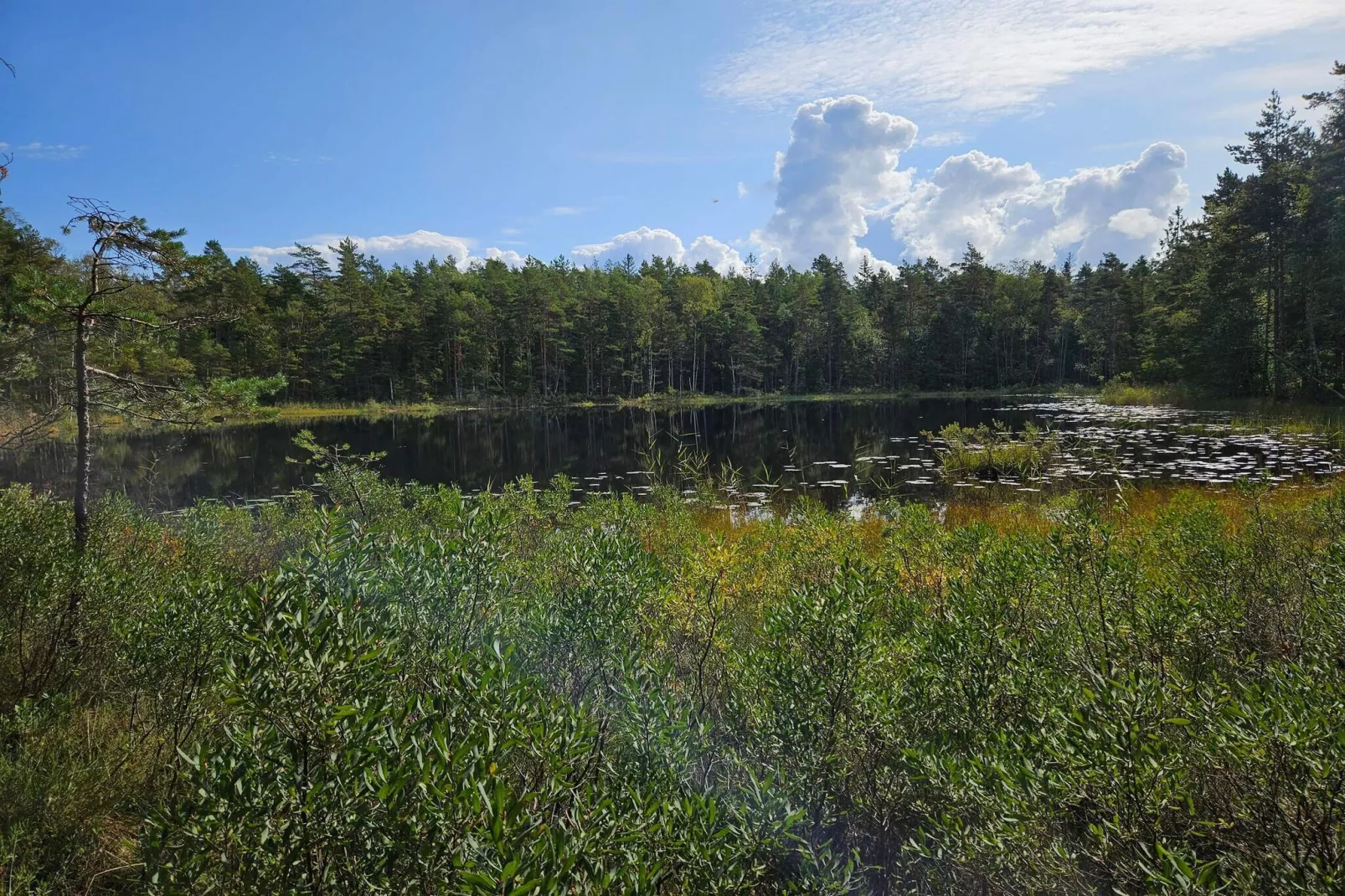 4 persoons vakantie huis in Brålanda-Waterzicht