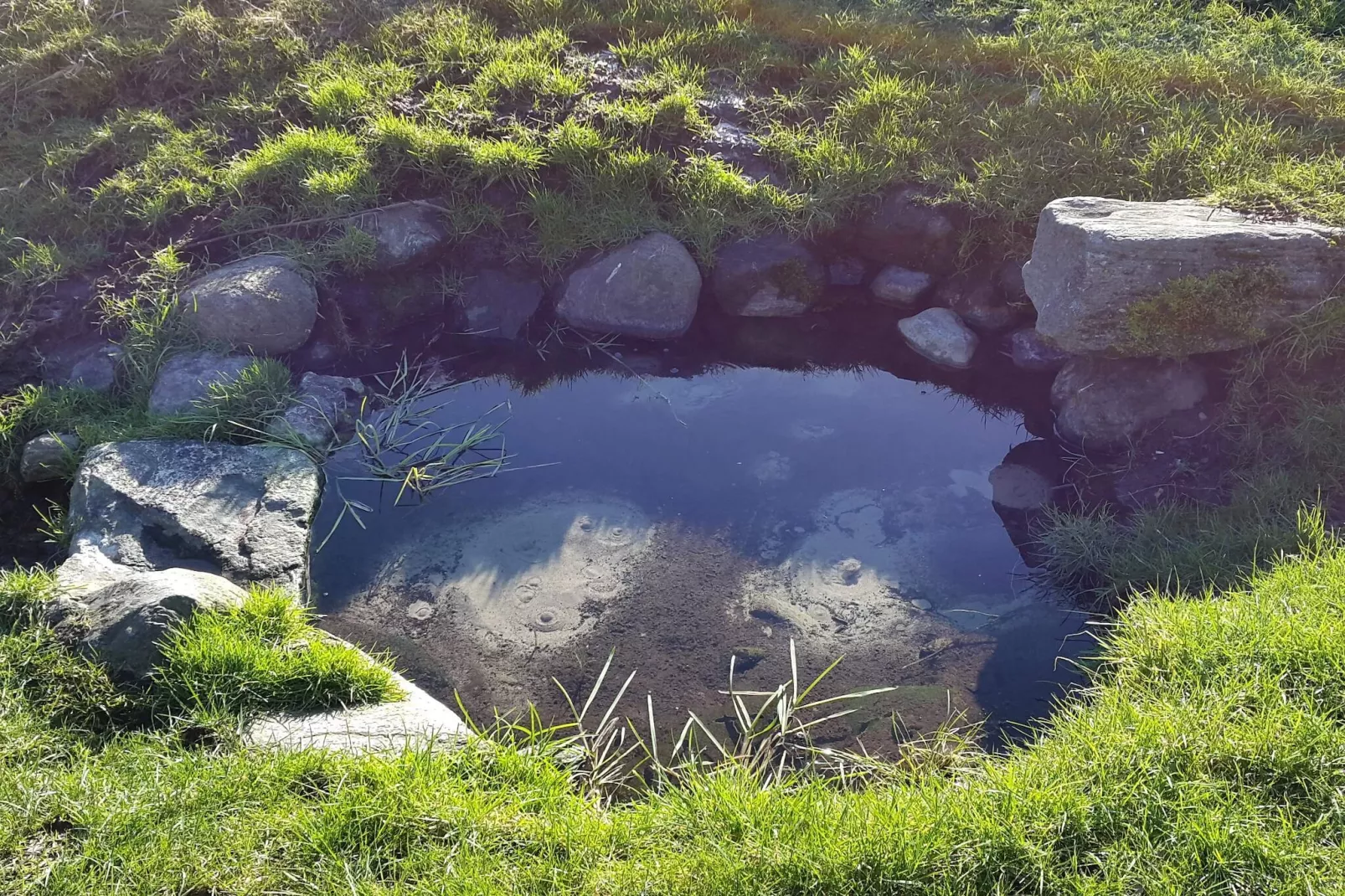 Rustige natuurlijke ontsnapping-By Traum-Waterzicht