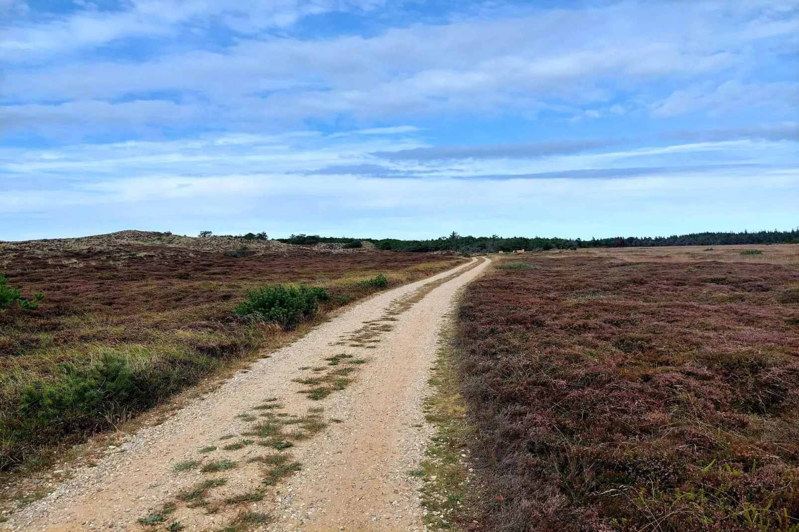 8 persoons vakantie huis in Nørre Nebel-Niet-getagd