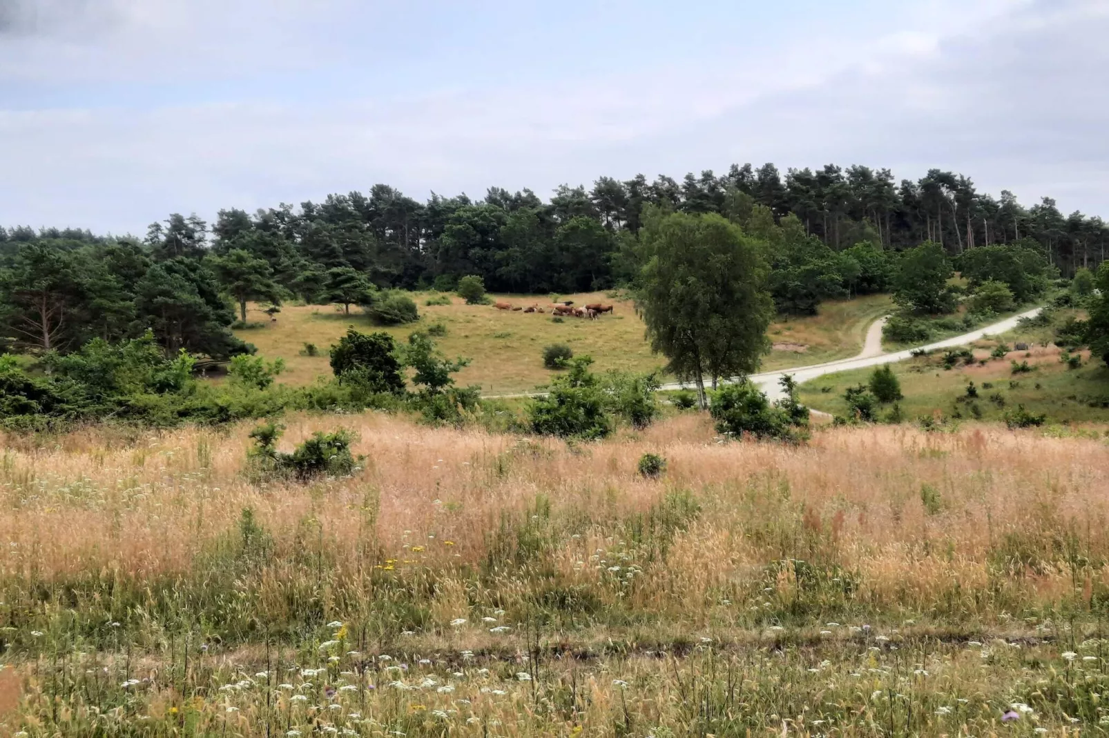 7 persoons vakantie huis in Knebel-By Traum-Niet-getagd