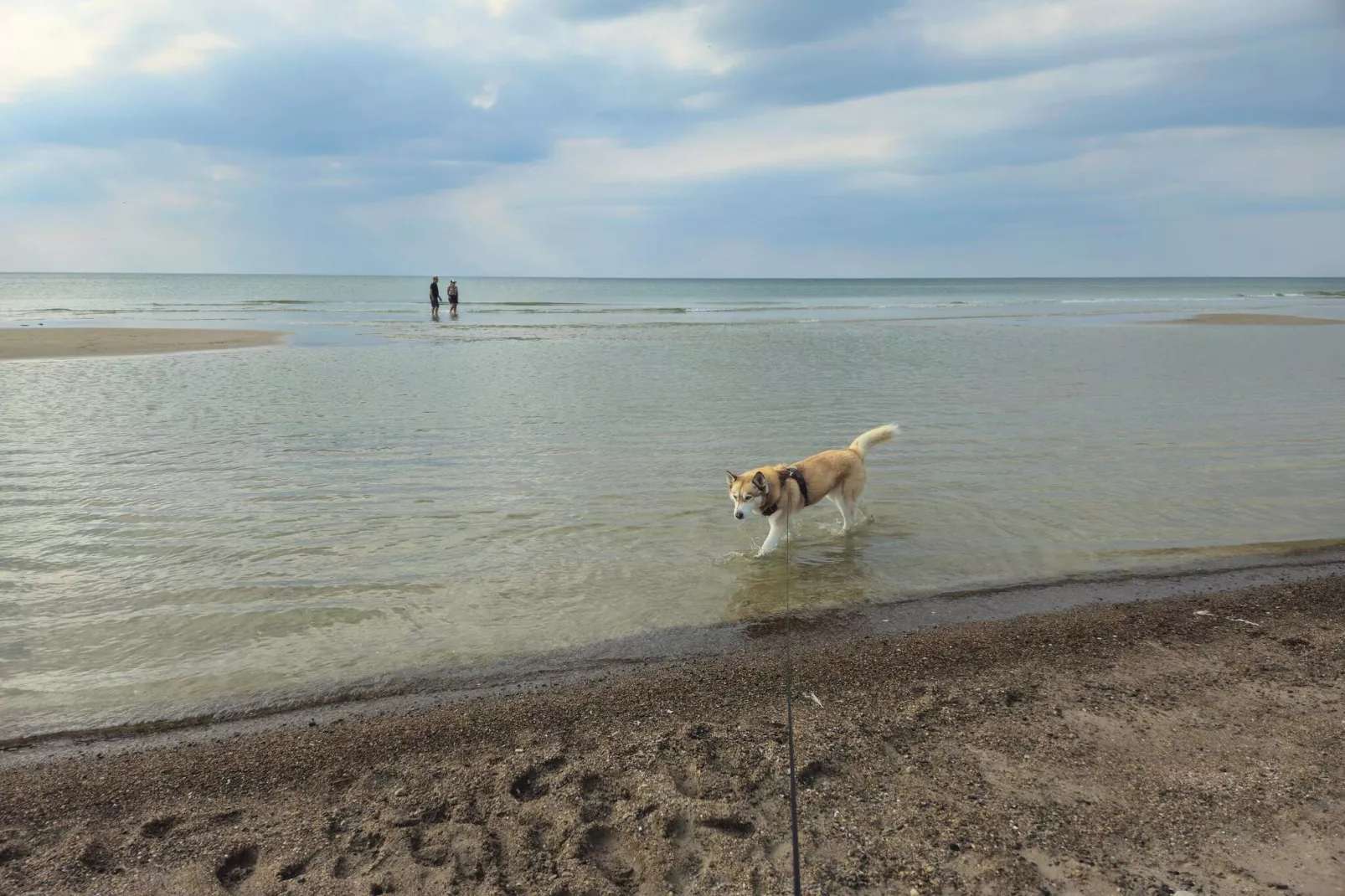 Strandparadijs in Saltum -- By Traum Ferienwohnungen-Waterzicht