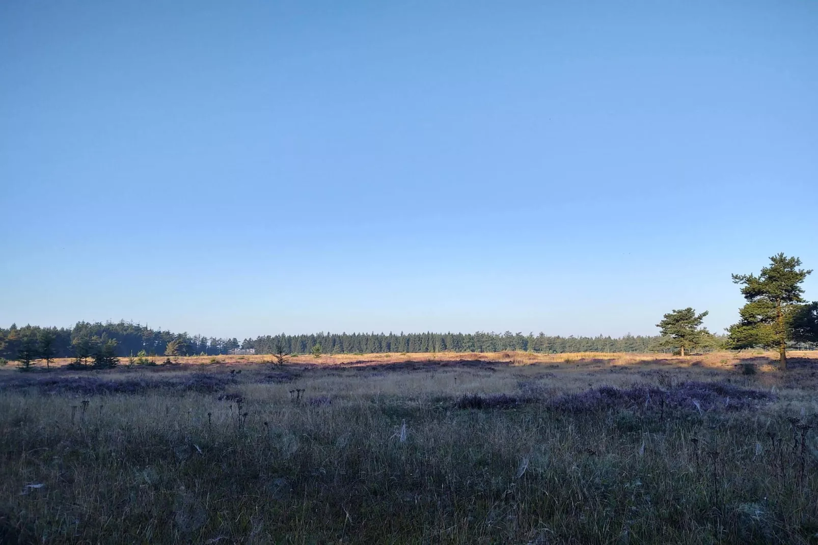 5 persoons vakantie huis in Hovborg-By Traum-Niet-getagd