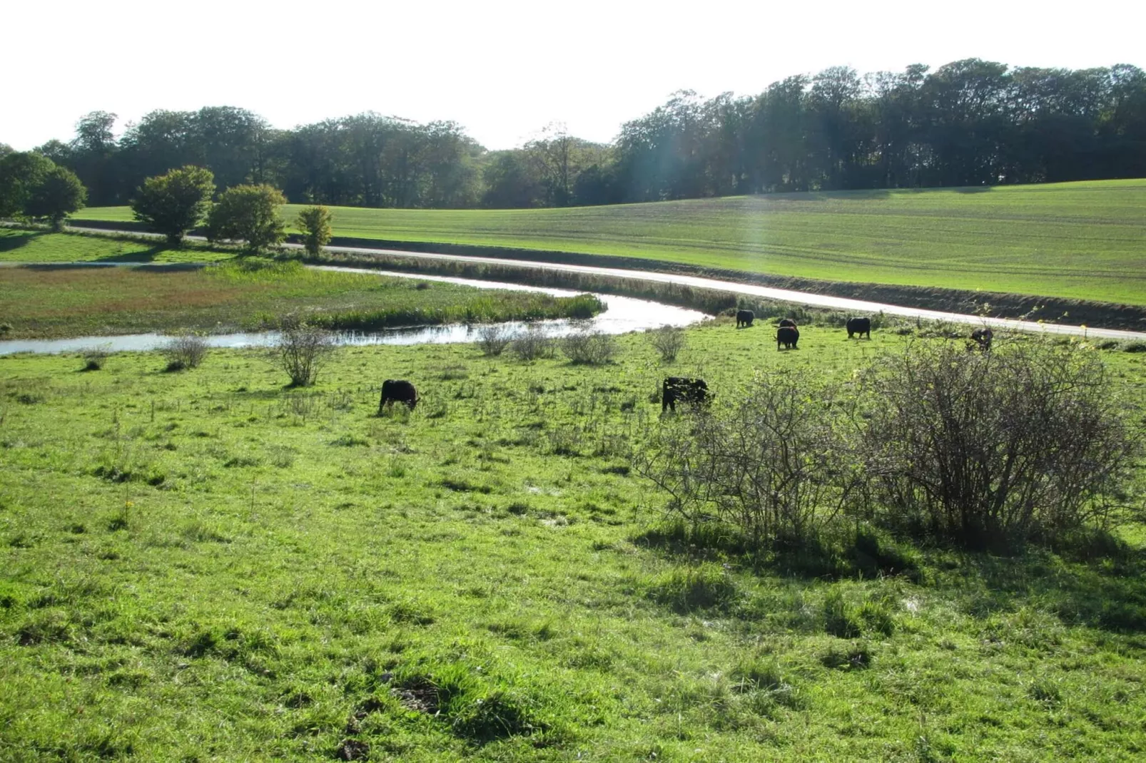 4 persoons vakantie huis in Stege-By Traum-Niet-getagd