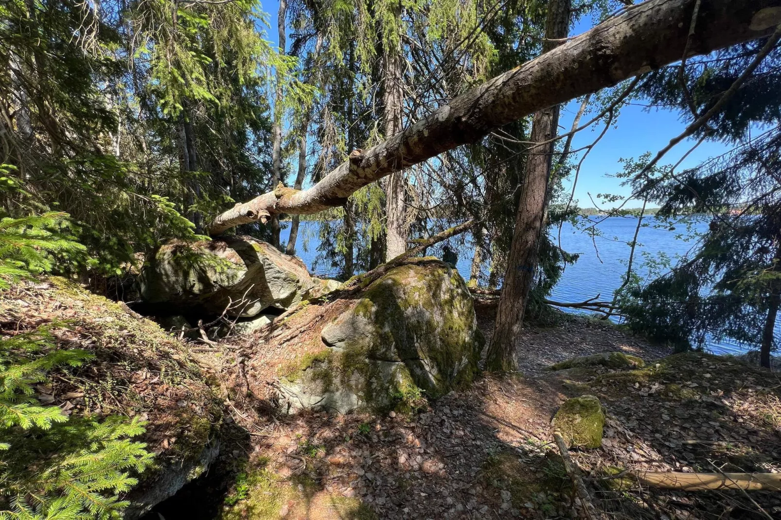 7 persoons vakantie huis in VIRSERUM-By Traum-Waterzicht