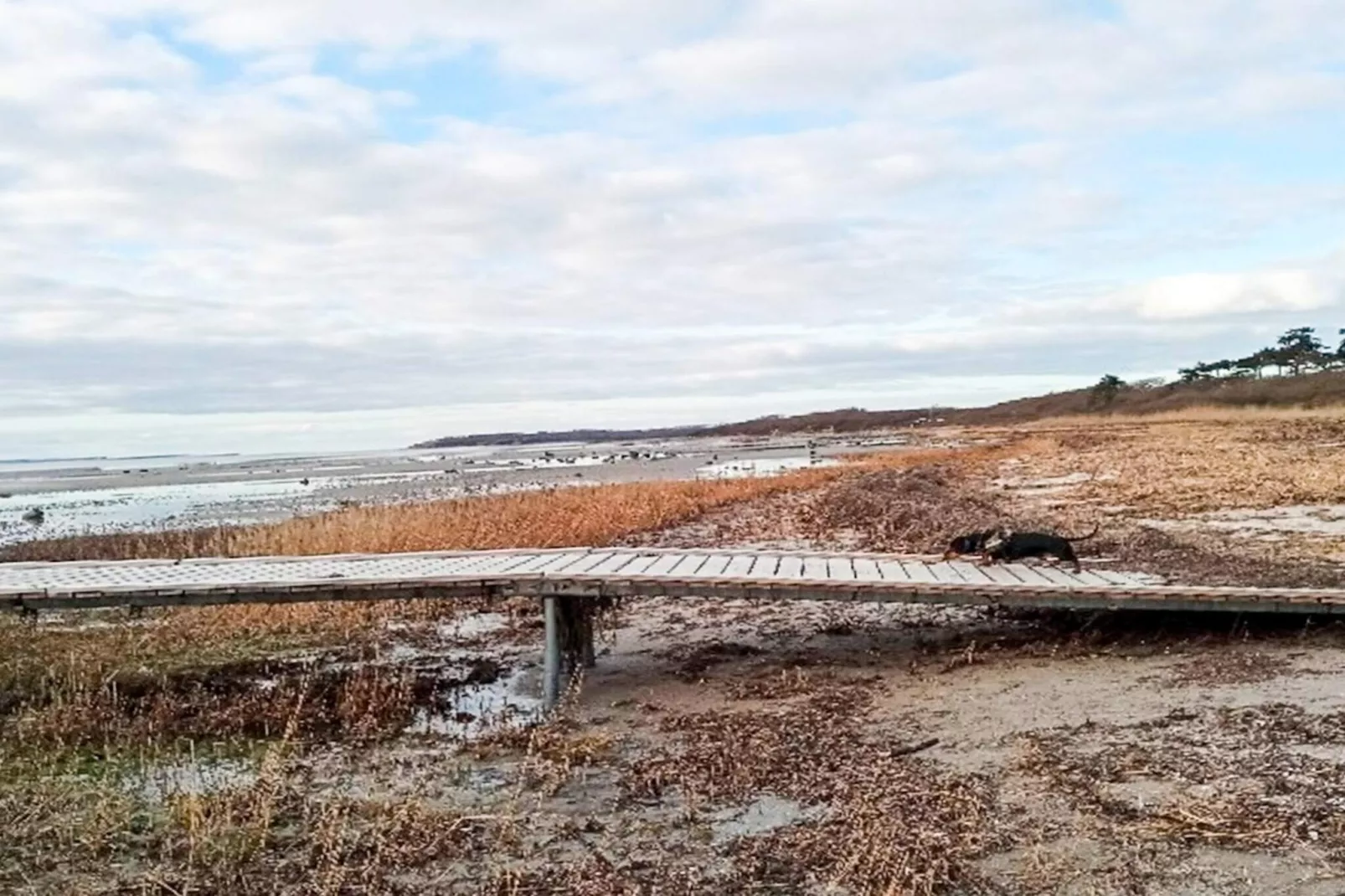 6 persoons vakantie huis in Jægerspris-By Traum-Waterzicht