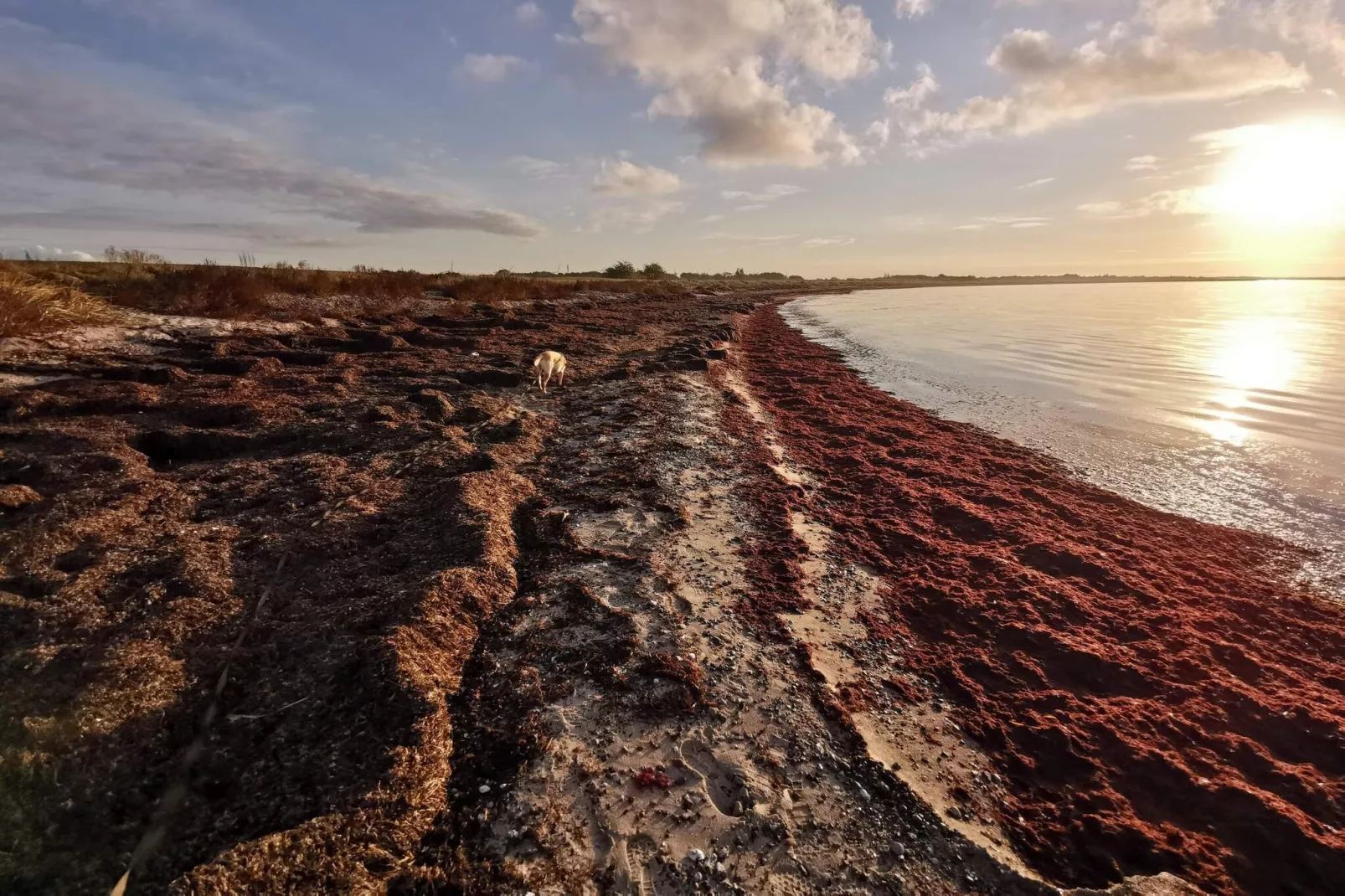 6 persoons vakantie huis in Dannemare-By Traum-Waterzicht