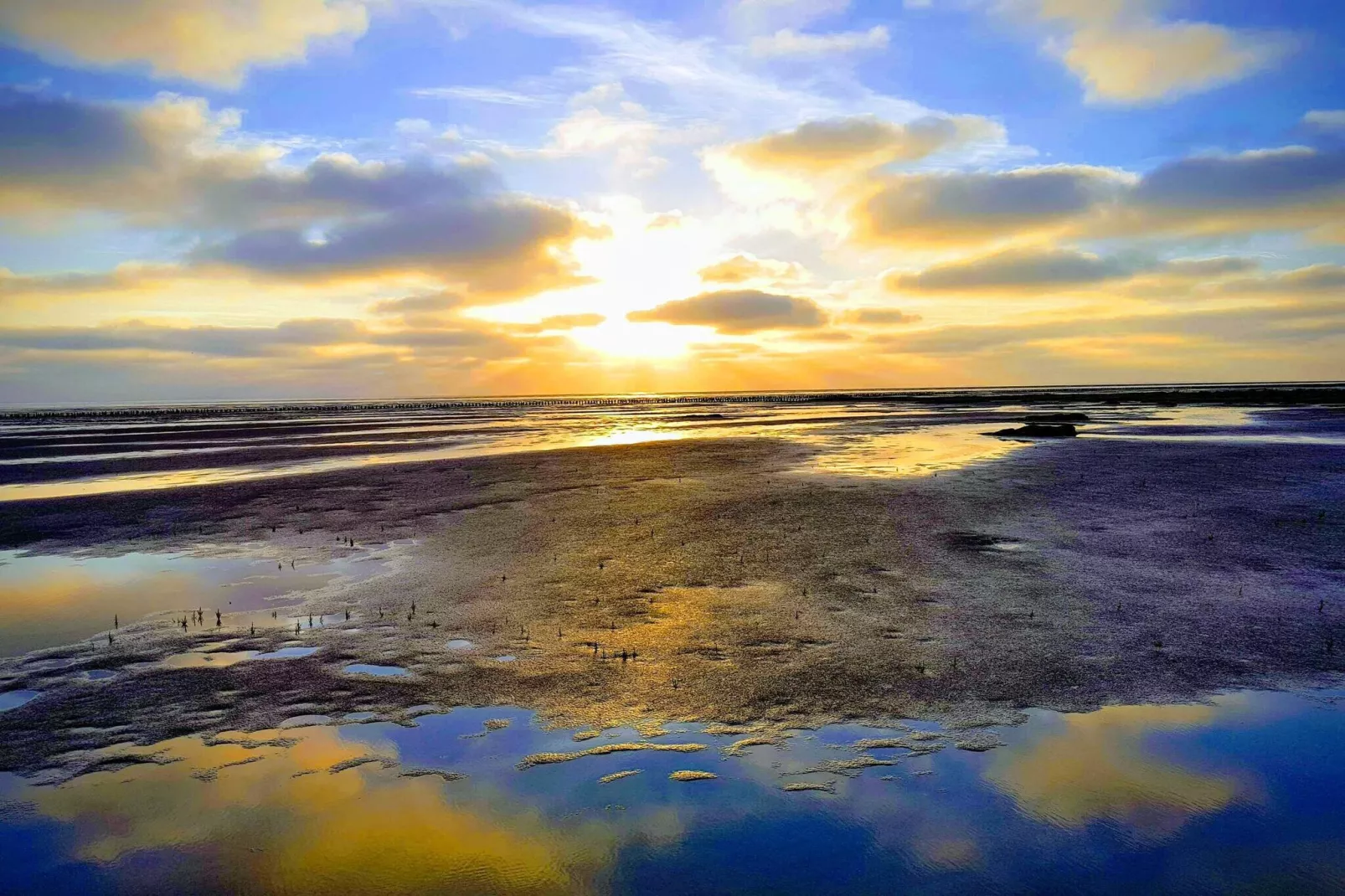 Moderne kusttoevlucht -- By Traum Ferienwohnungen-Waterzicht