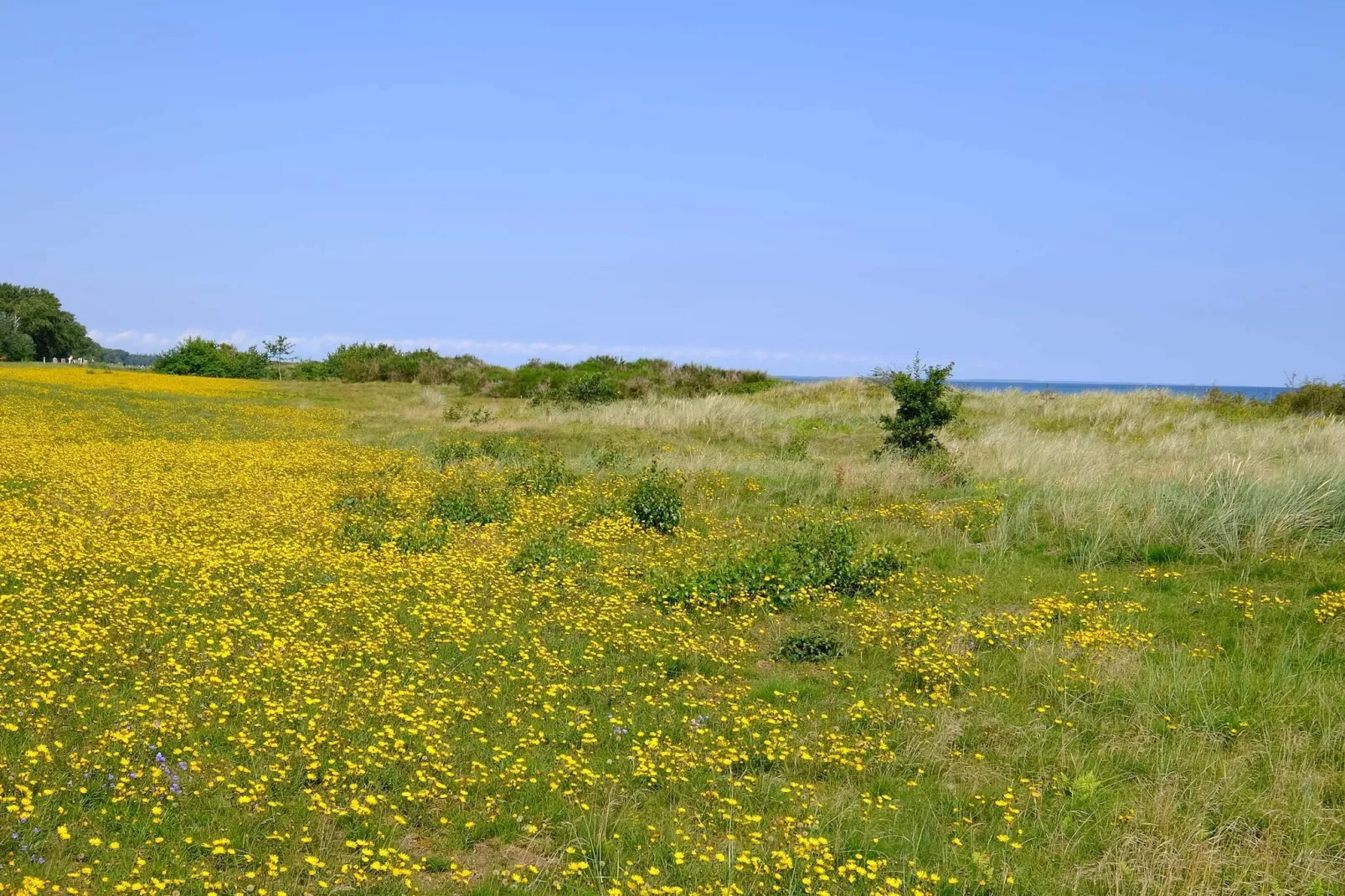 6 persoons vakantie huis in Gedser-By Traum-Waterzicht