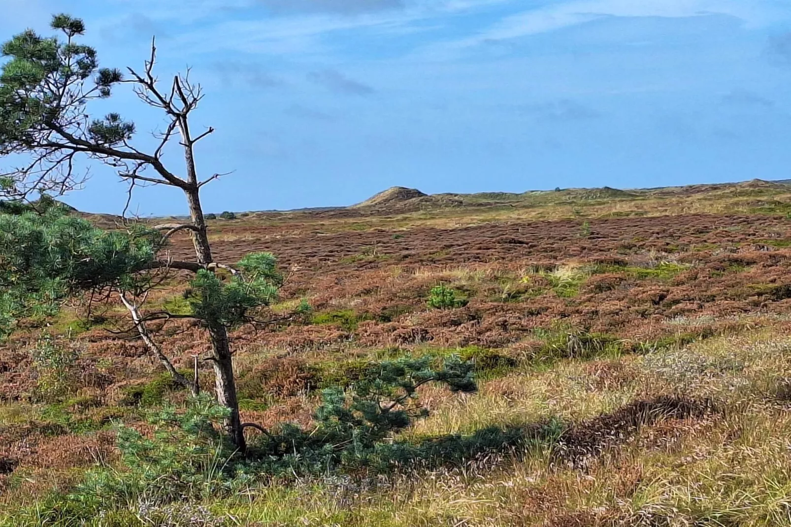 6 persoons vakantie huis in Thyholm-By Traum-Niet-getagd