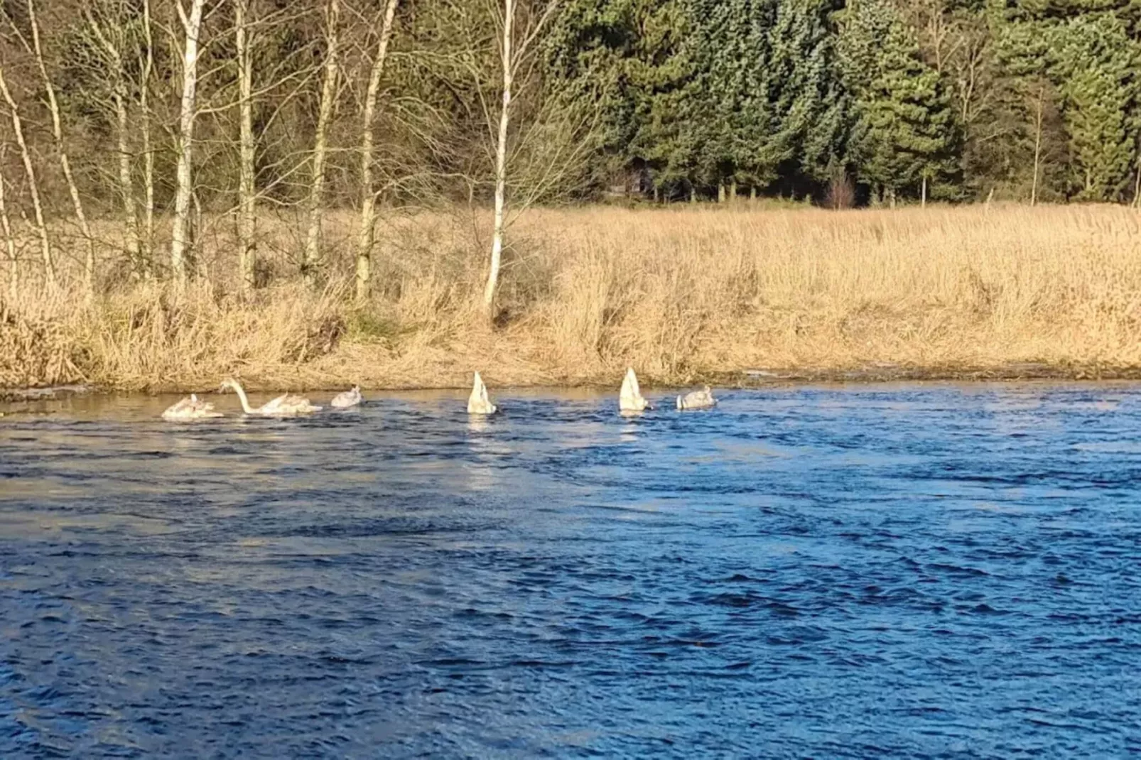 6 persoons vakantie huis in Fårvang-By Traum-Waterzicht
