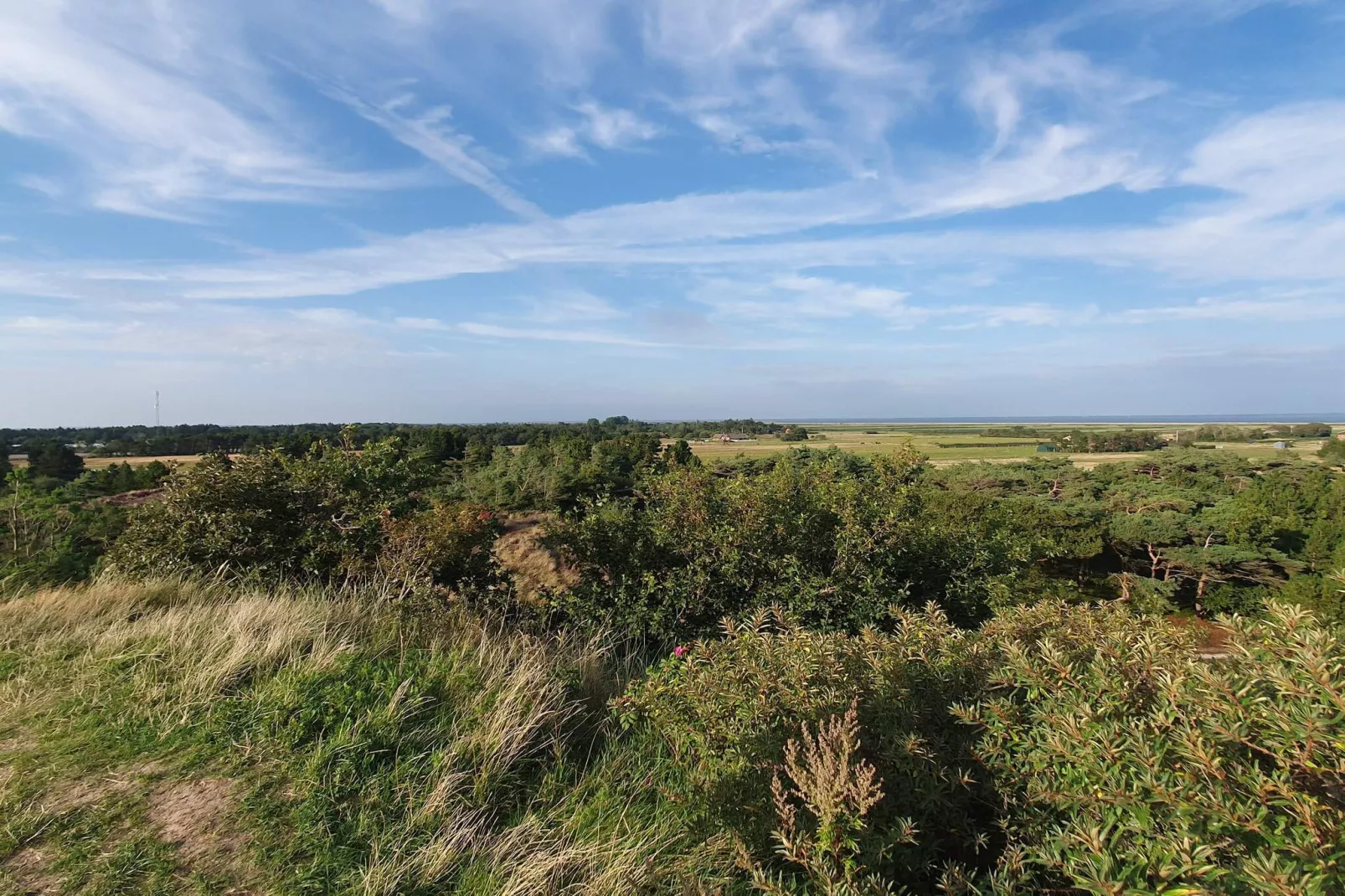 6 persoons vakantie huis in Rømø-By Traum-Niet-getagd