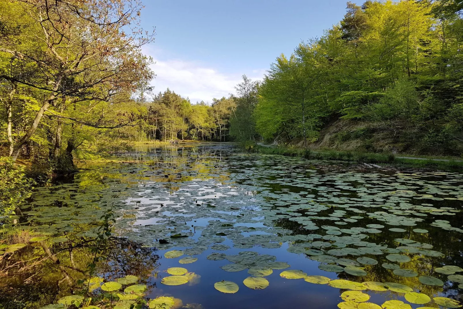 6 persoons vakantie huis in Ålbæk-By Traum-Waterzicht