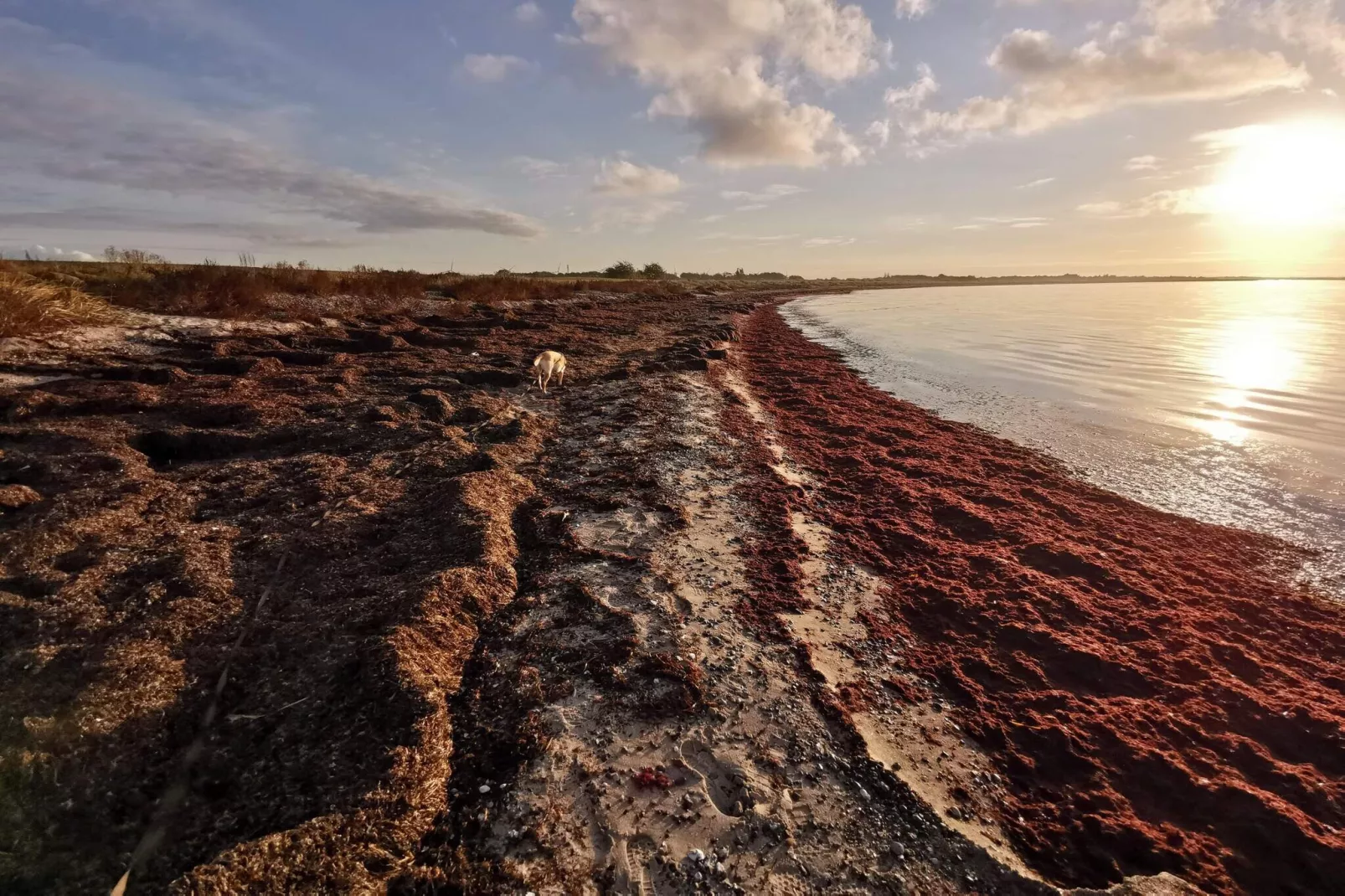 8 persoons vakantie huis in Dannemare-By Traum-Waterzicht