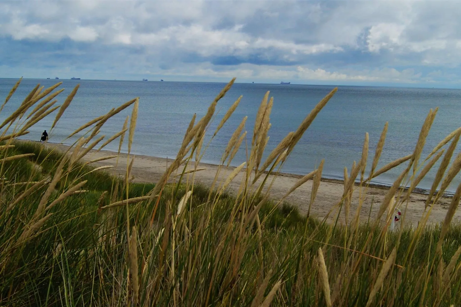 Gezellig strandverblijf -- By Traum Ferienwohnungen