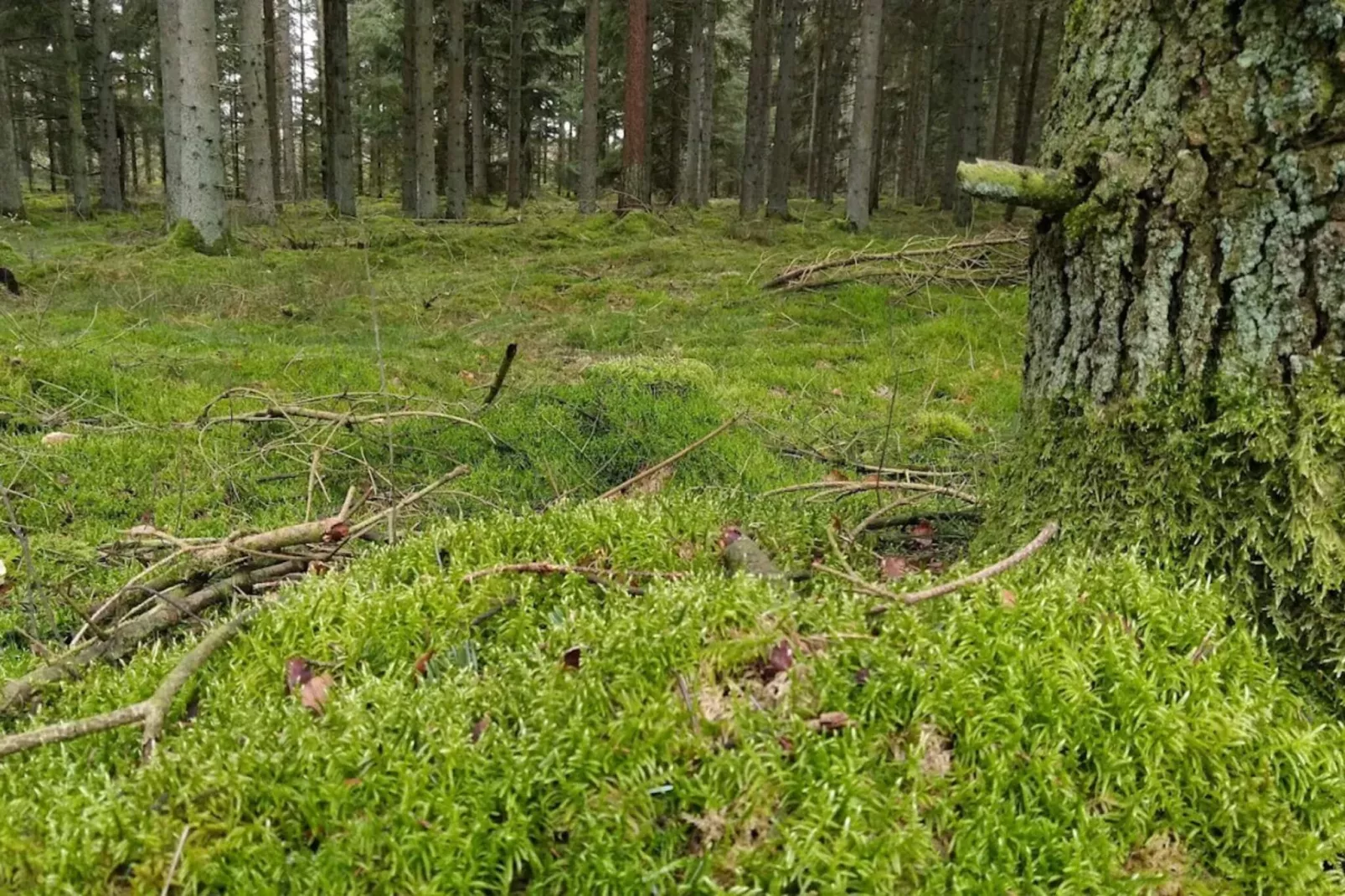 8 persoons vakantie huis in Gjern-By Traum-Niet-getagd