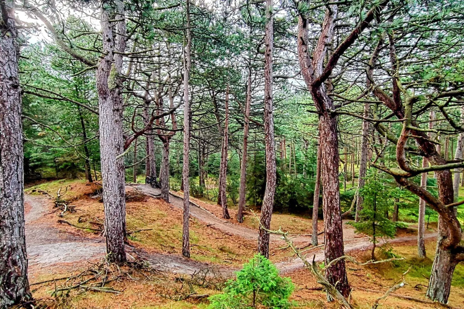 6 persoons vakantie huis in Oksbøl-Niet-getagd