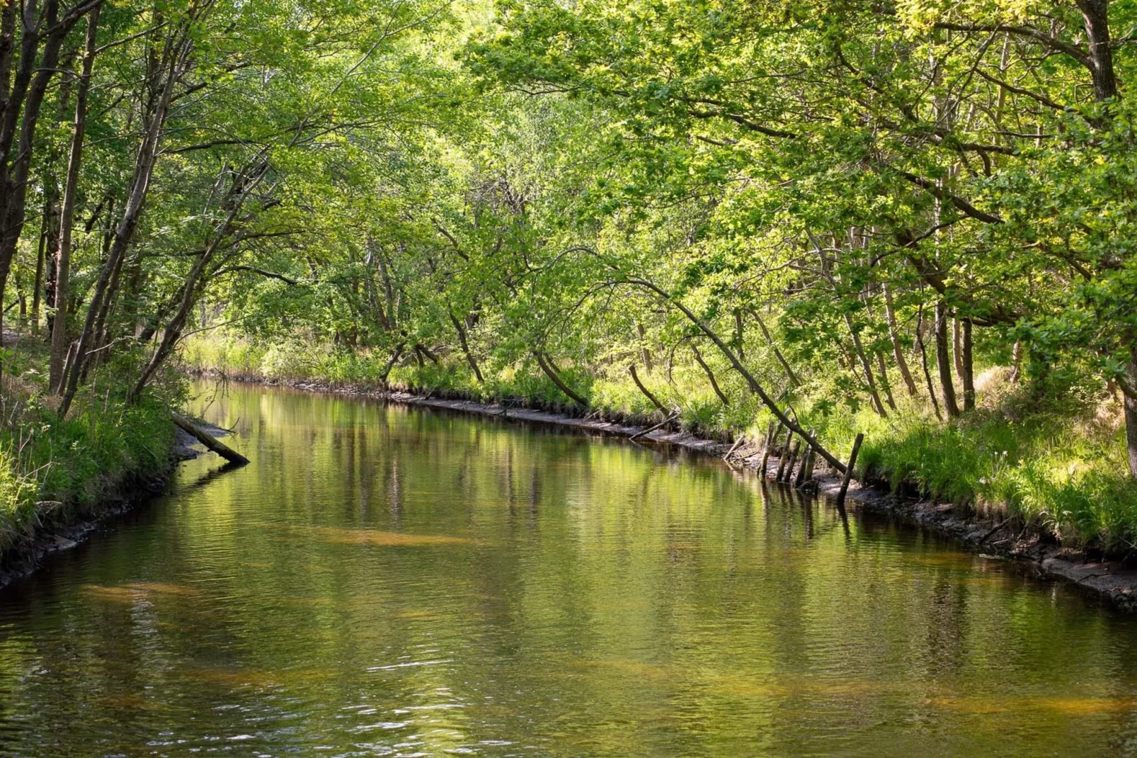6 persoons vakantie huis in Store Fuglede-By Traum-Waterzicht