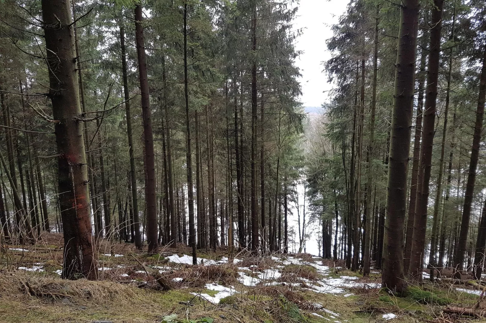 Am Südhang 11-Gebied winter 5km