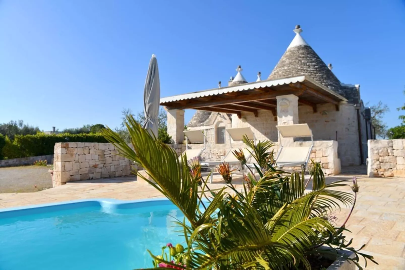 Holiday home Cisternino-Trullo Ulivo Antico-Buitenkant zomer