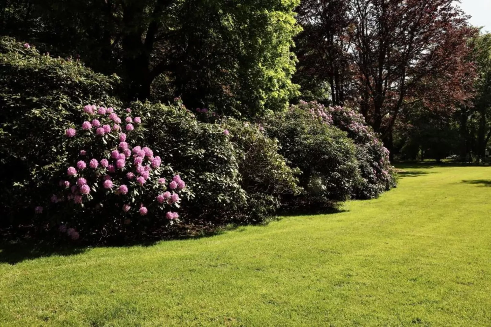 Vakantiepark De Lochemse Berg 2-Gebieden zomer 20km
