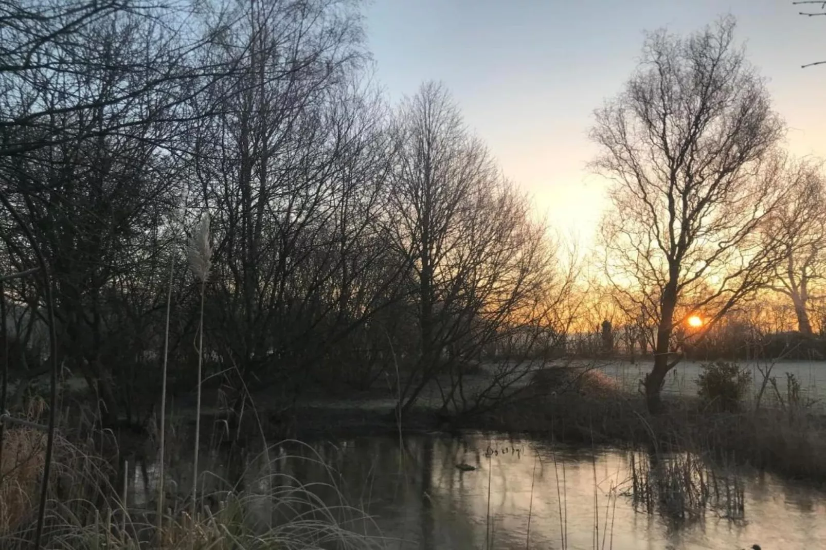 Bospark Markelo 2-Gebieden zomer 20km
