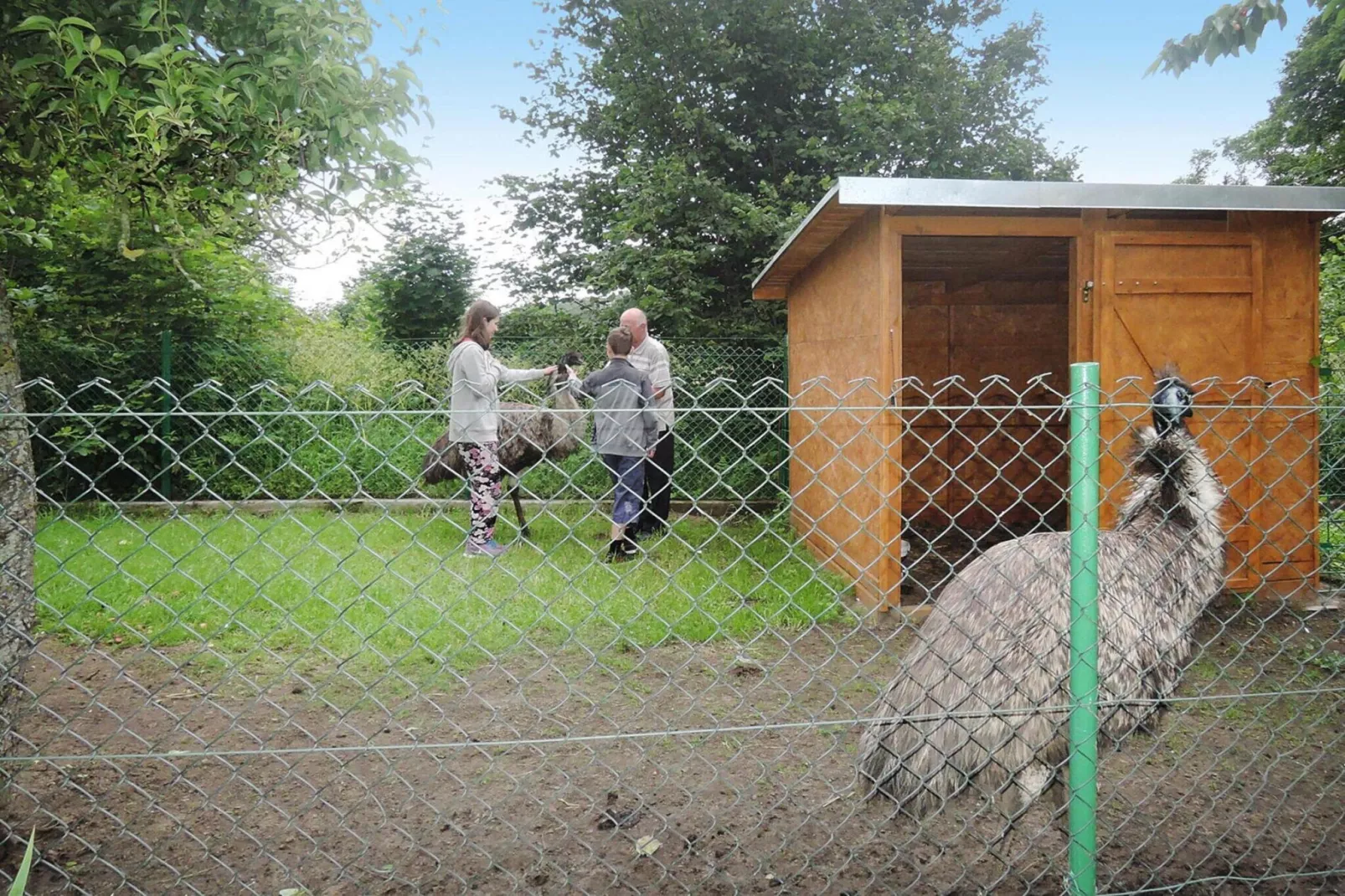 Holiday home Kolczewo 55 qm 5 Pers-Tuinen zomer