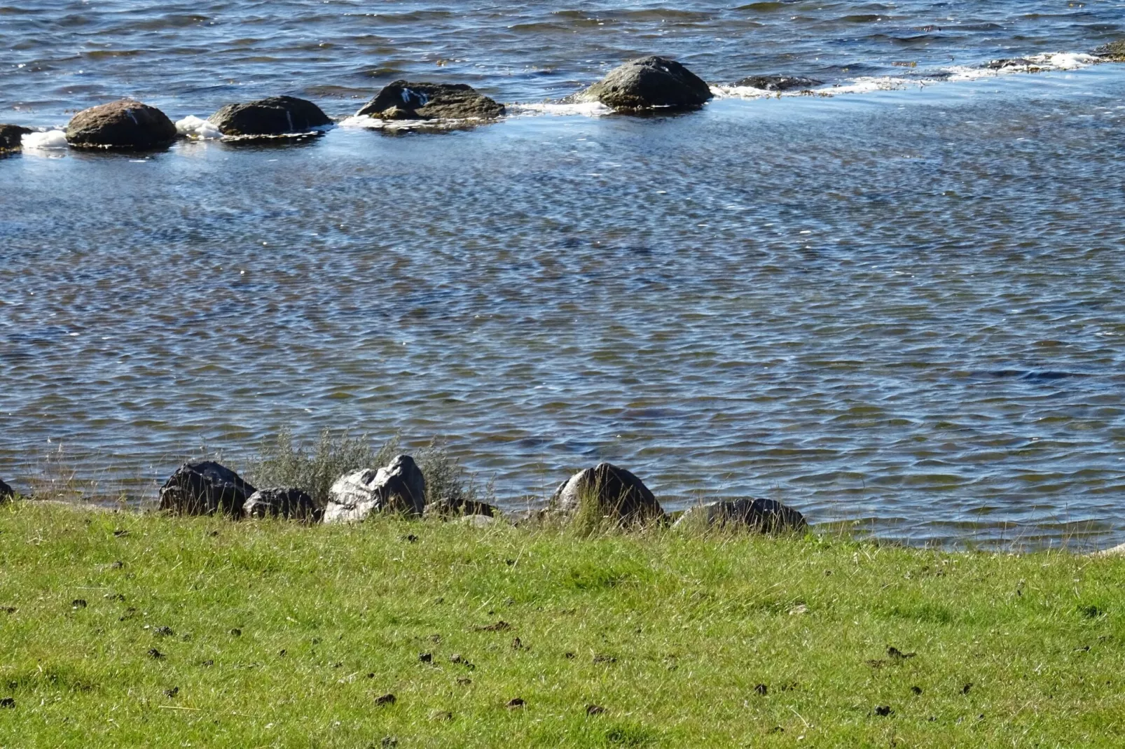 FeWo Sturmeck 67 qm Typ P5 1 OG-Gebieden zomer 5km