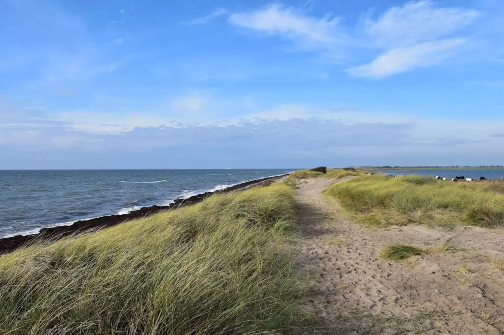 6 persoons vakantie huis in Rødby-Waterzicht