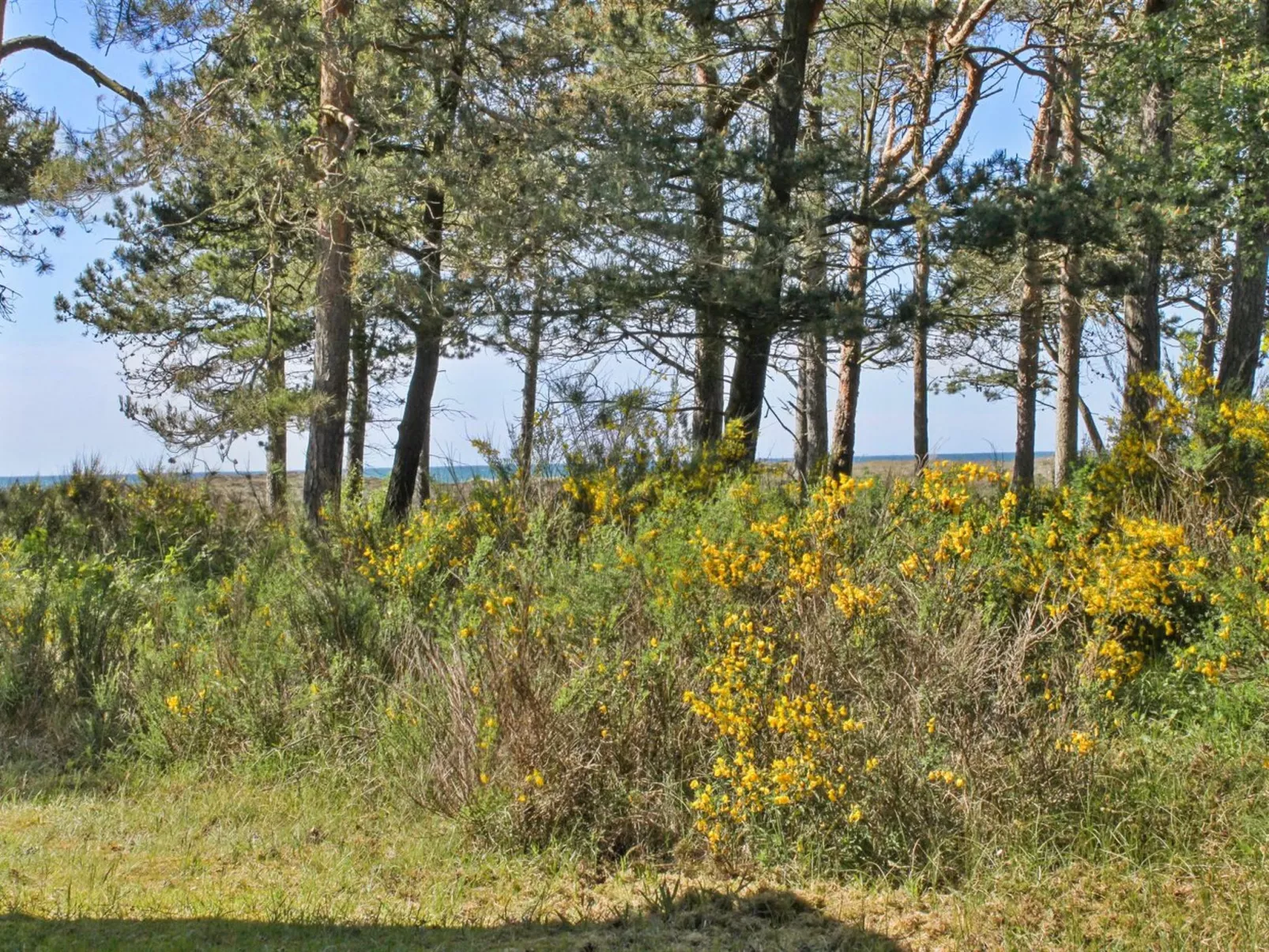 "Hatem" - 200m from the sea-Buiten