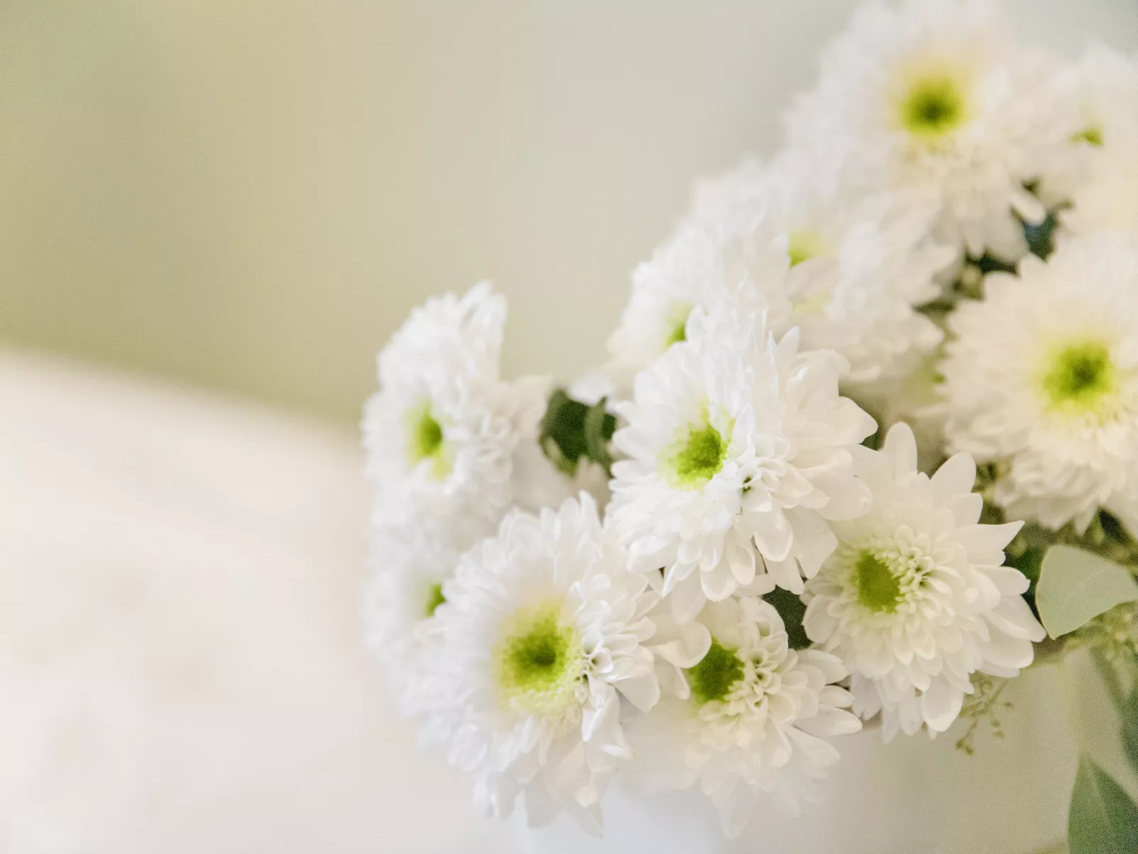 Chesa Ova Cotschna 306-Binnen