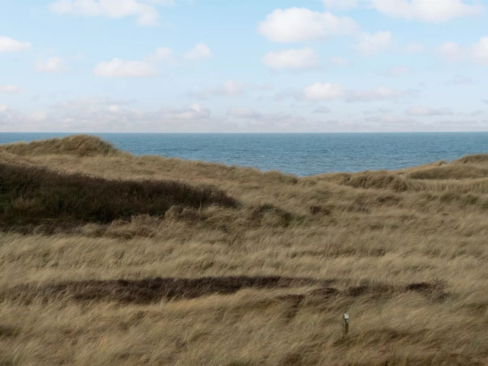 "Kalina" - 150m from the sea-Buiten