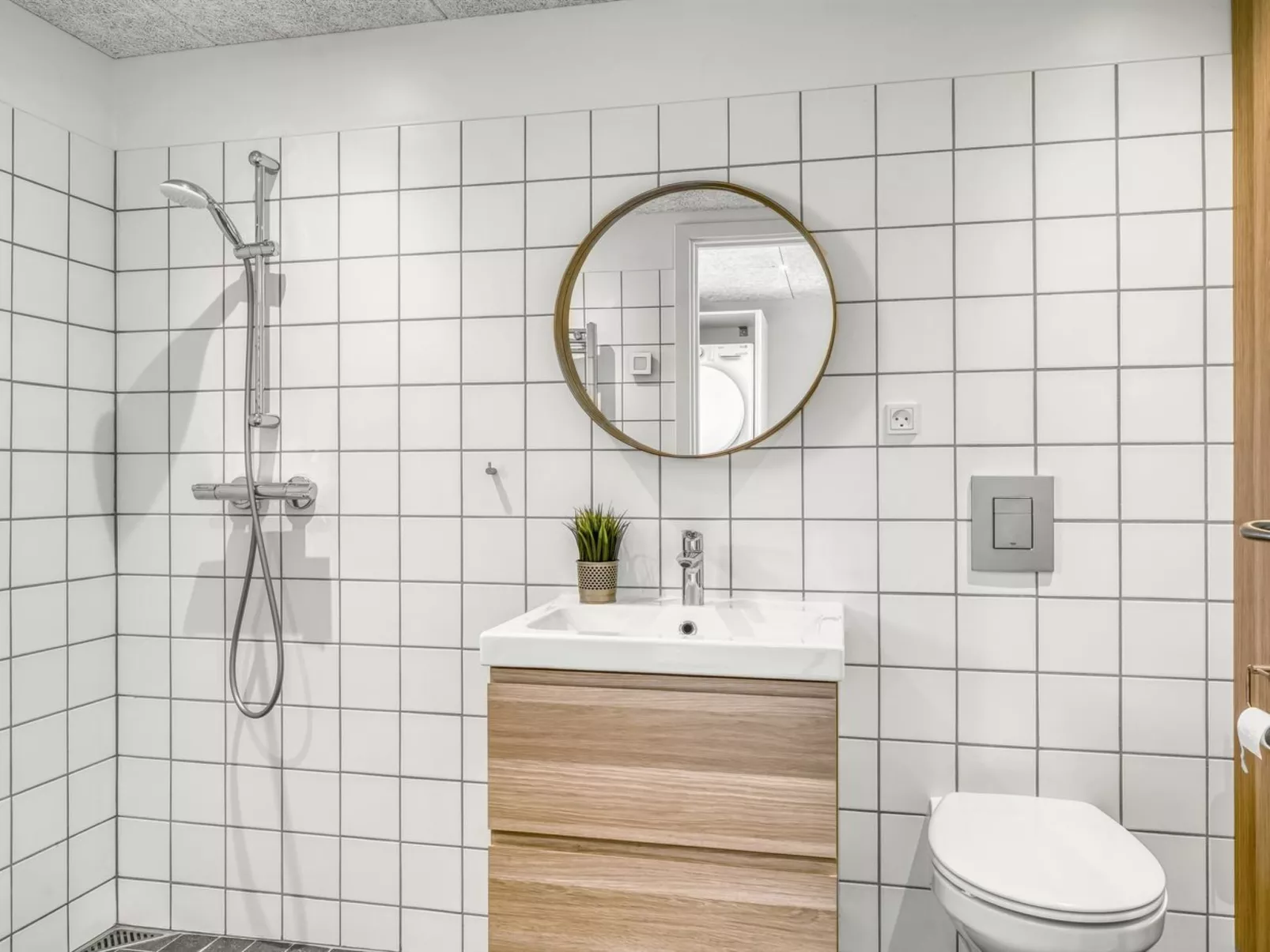 "Alfrede" -  from the sea-Binnen