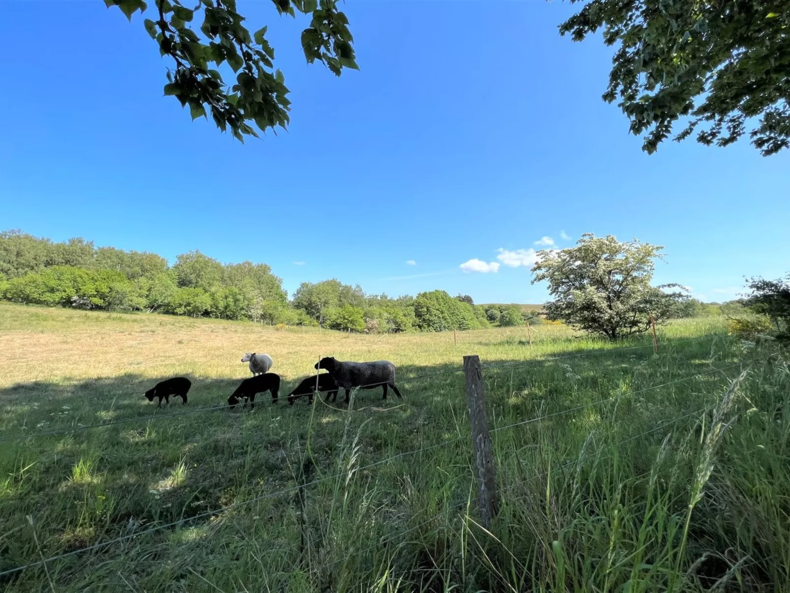 "Aurore" - 1.3km from the sea-Buiten